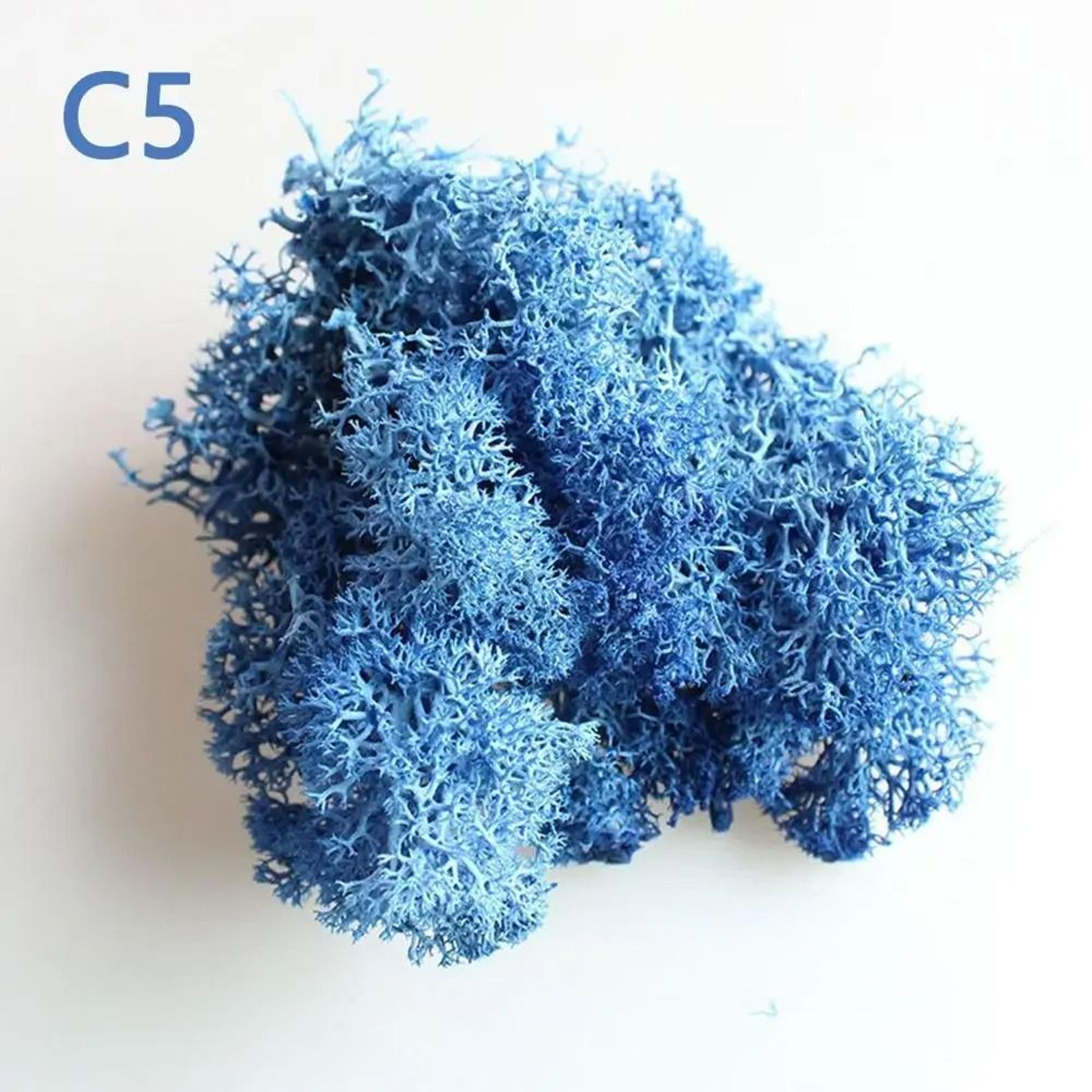 Preserved Moss Decor Artificial Moss For DIY Wall And Mini Landscape Design 11