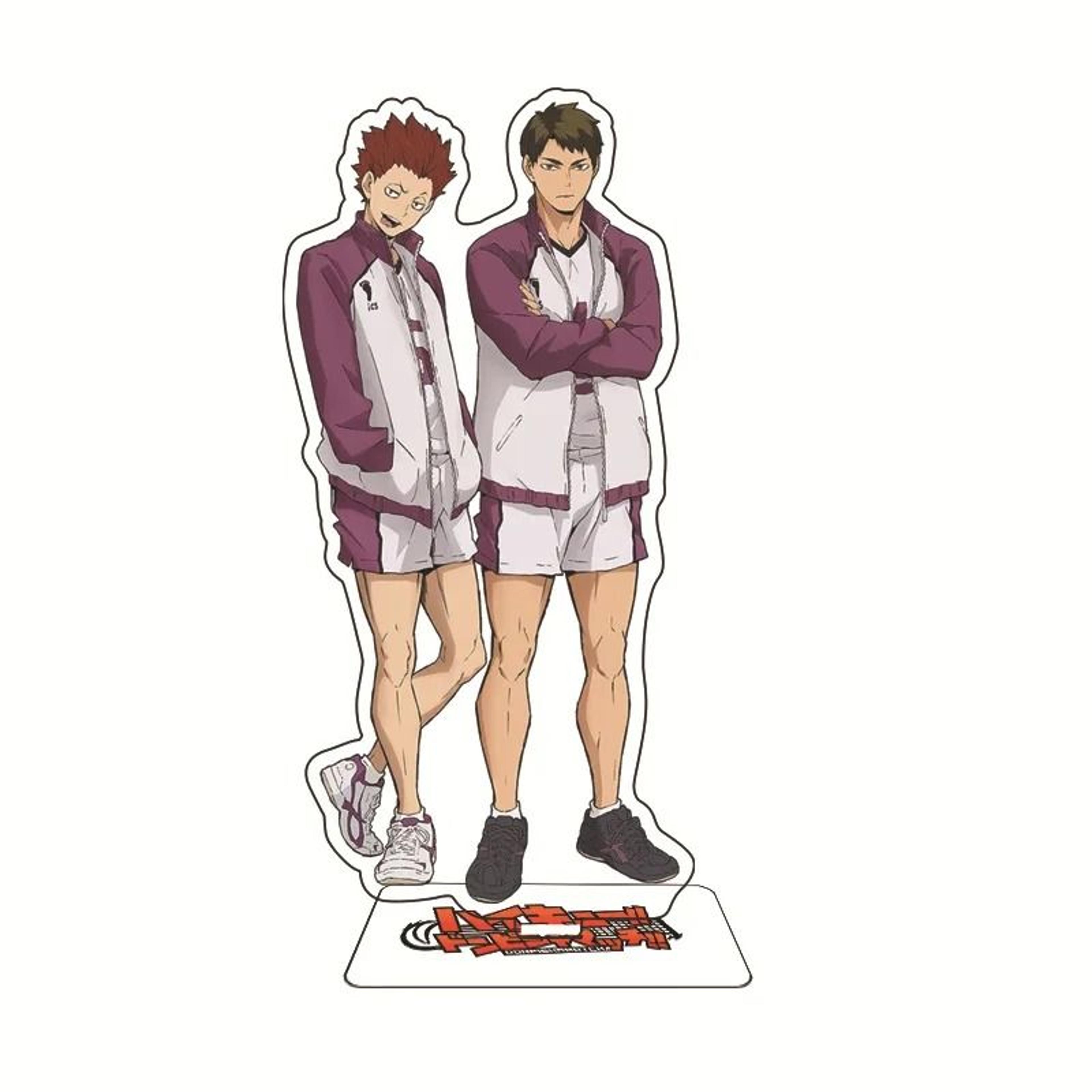 Haikyuu Acrylic Stand Figure Volleyball Anime Desk Decor Display 8