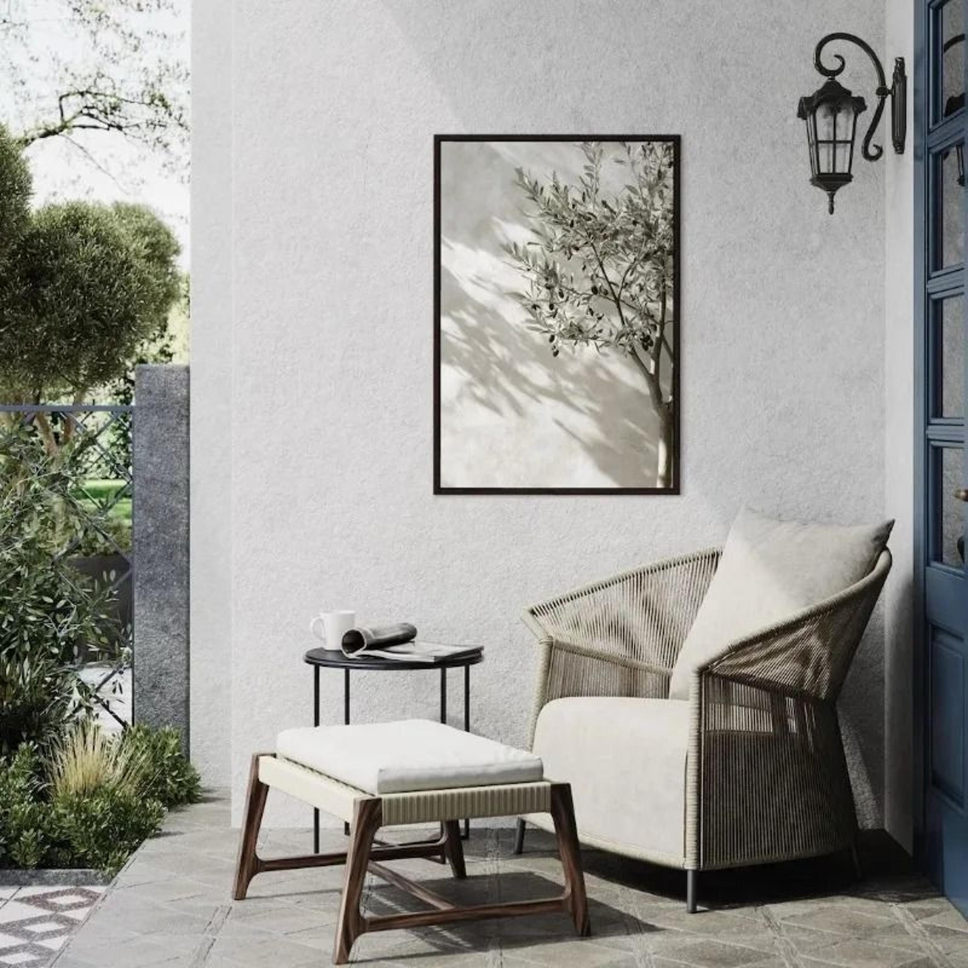 Minimalist Olive Tree Canvas Wall Art Mediterranean Botanical Poster 22