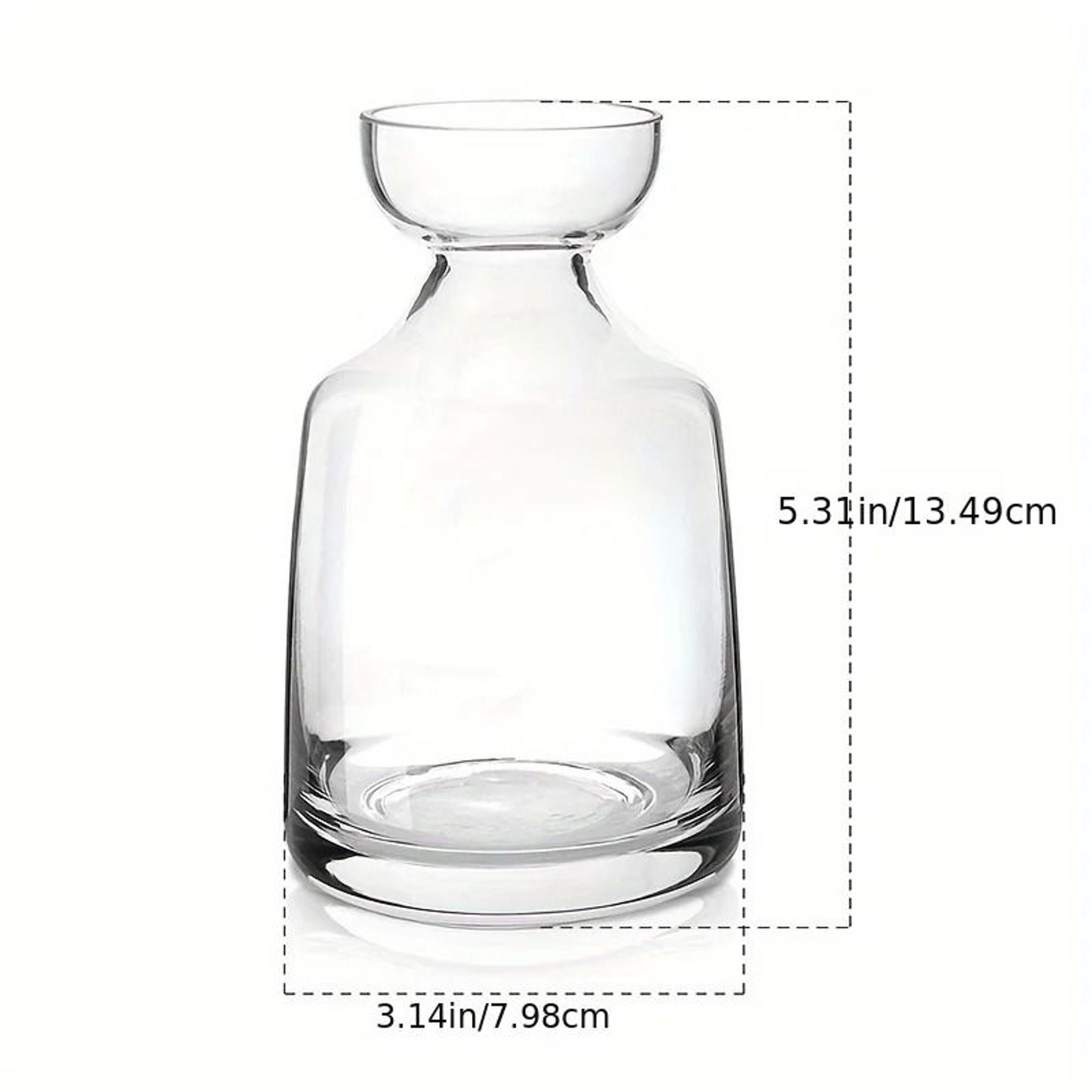 Avocado Seed Starter Glass Vase Set Hydroponic Growing Kit 6
