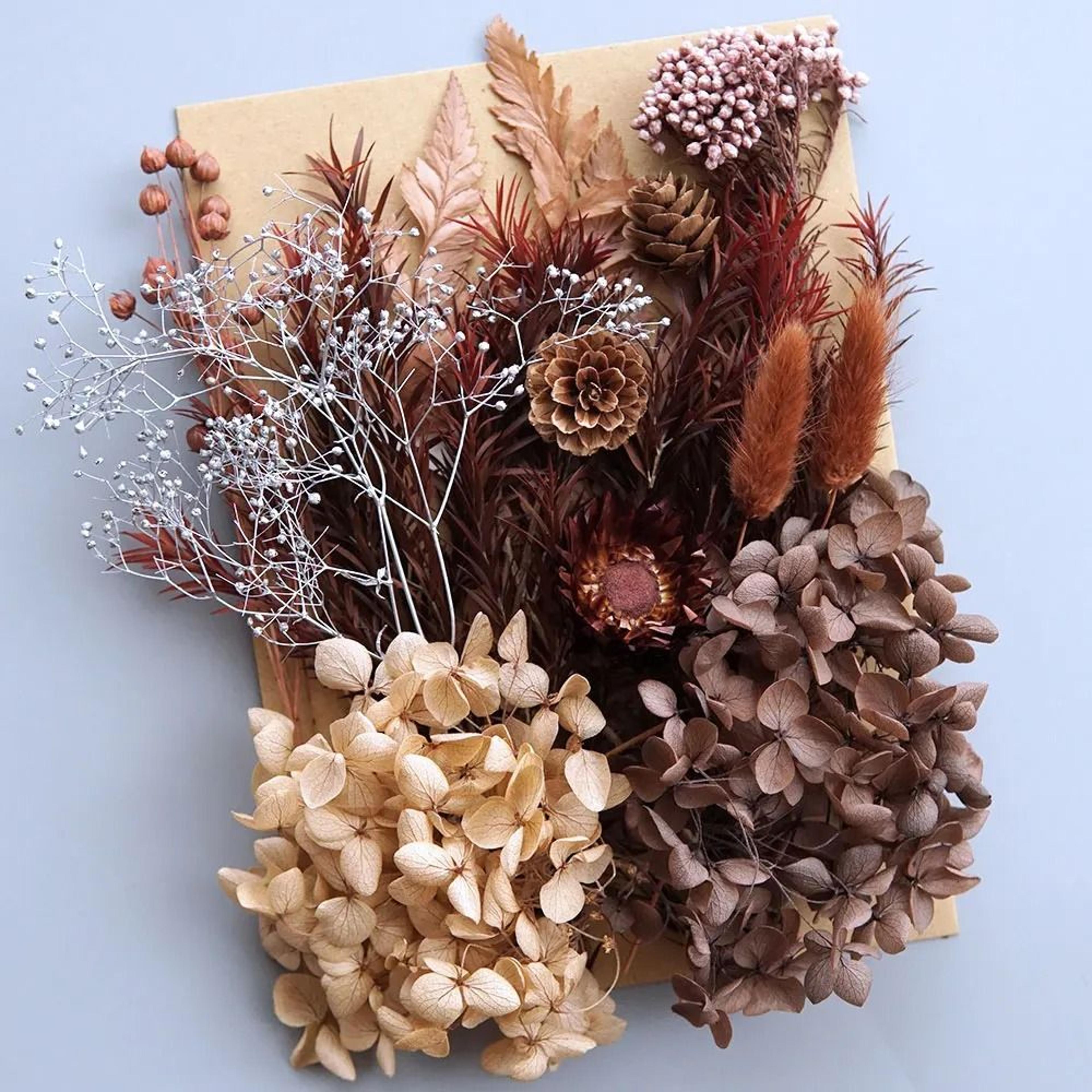 Preserved Hydrangea Dried Flowers Set For Resin Crafts Candle Making And DIY Decor 2
