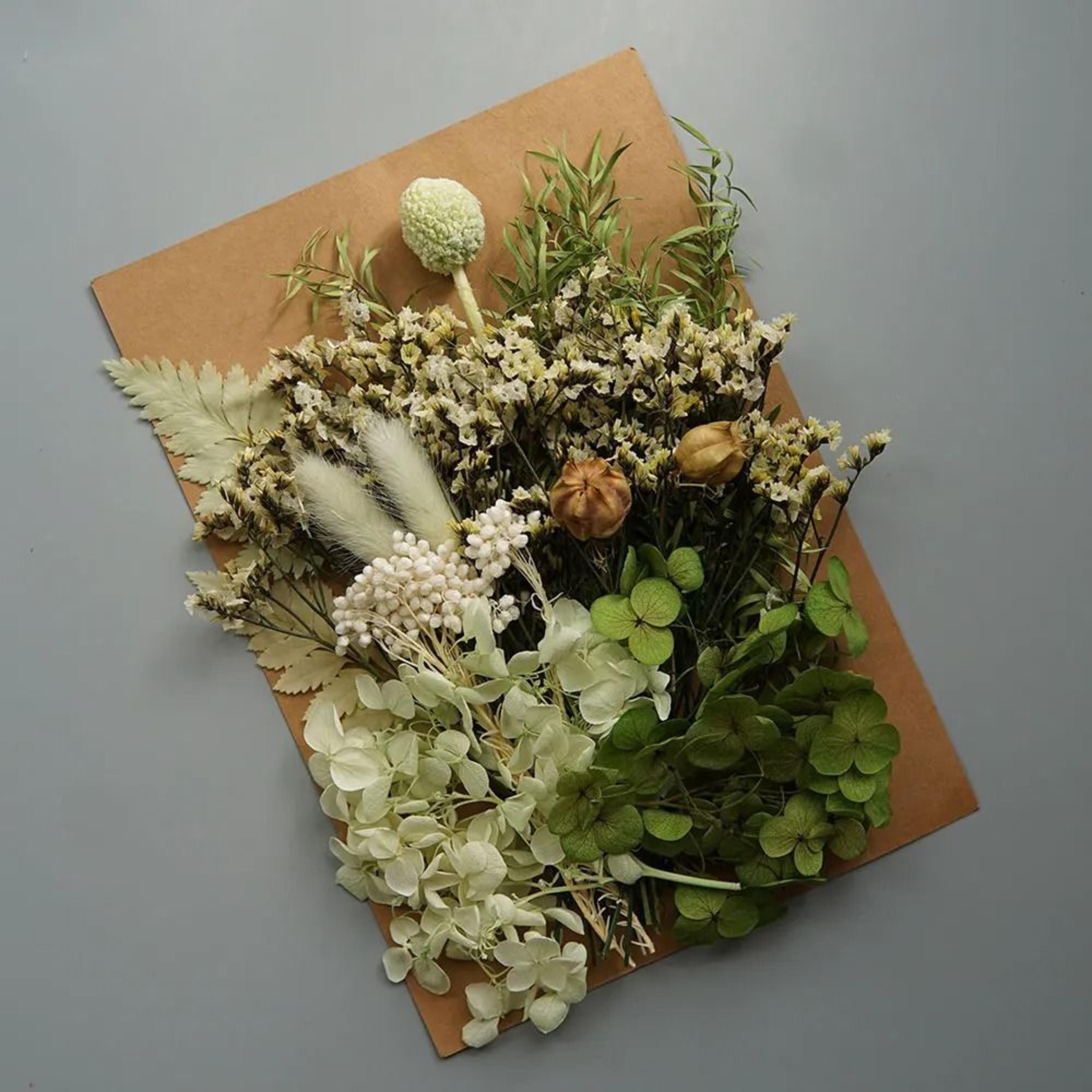 Preserved Hydrangea Dried Flowers Set For Resin Crafts Candle Making And DIY Decor 7