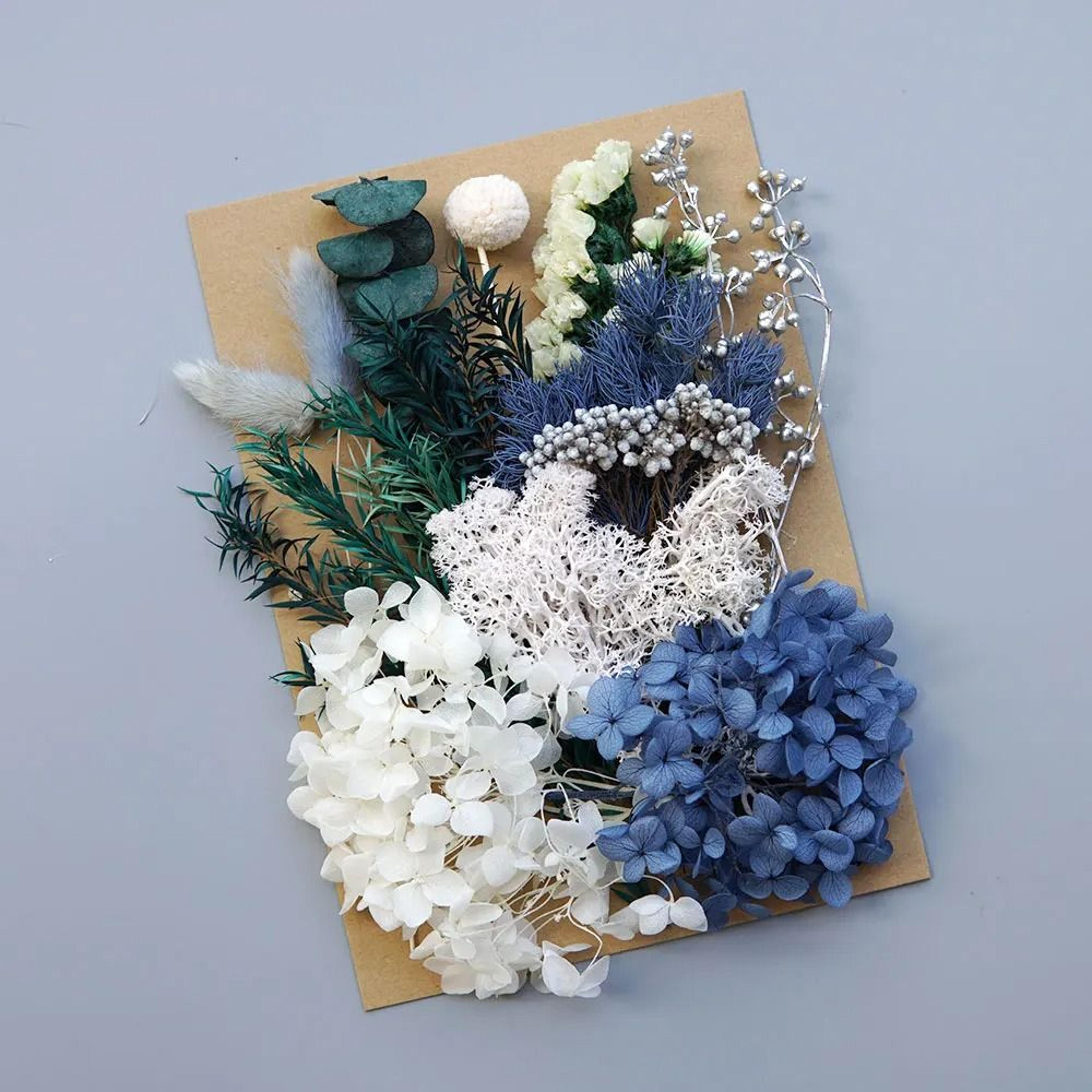 Preserved Hydrangea Dried Flowers Set For Resin Crafts Candle Making And DIY Decor 12