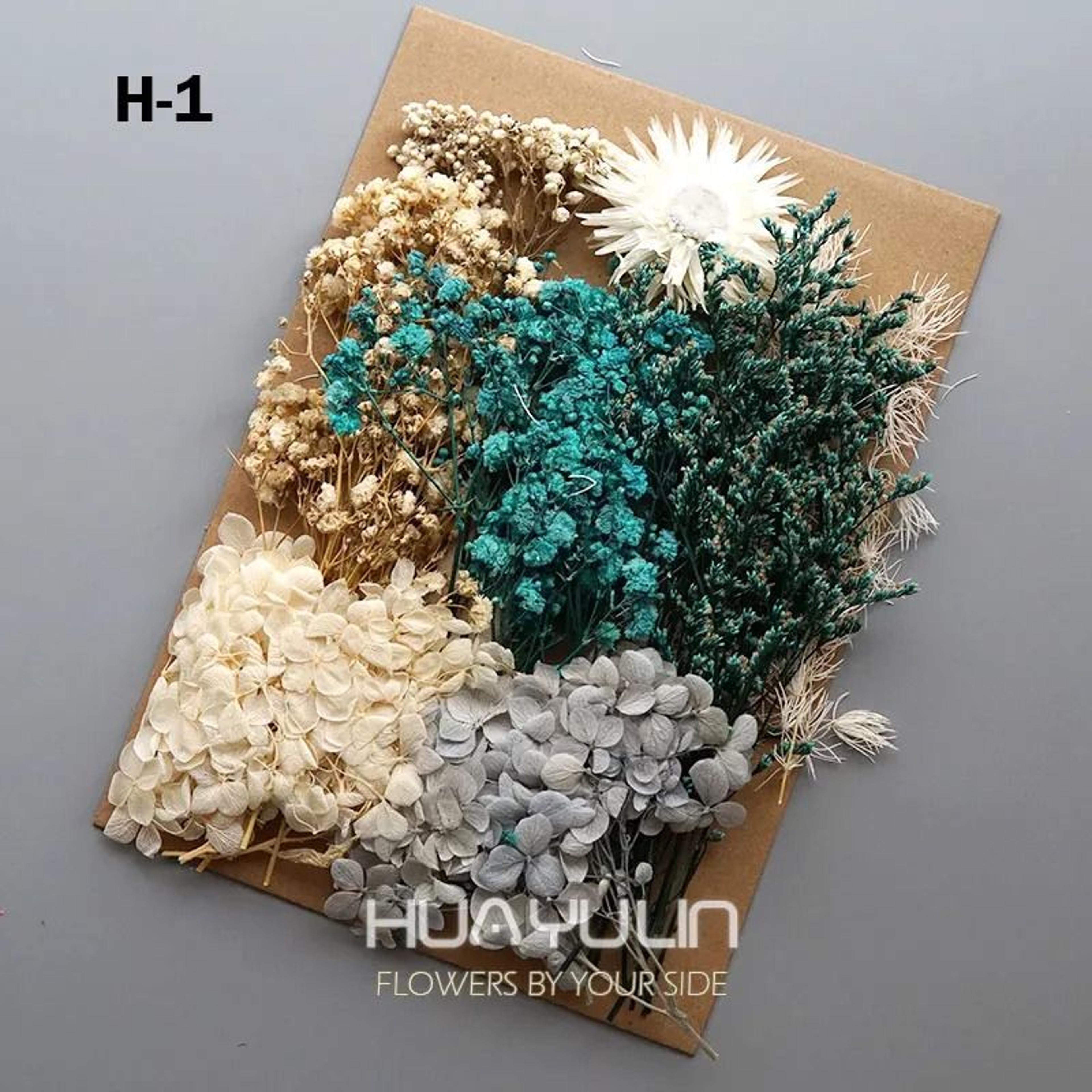 Preserved Hydrangea Dried Flowers Set For Resin Crafts Candle Making And DIY Decor 29