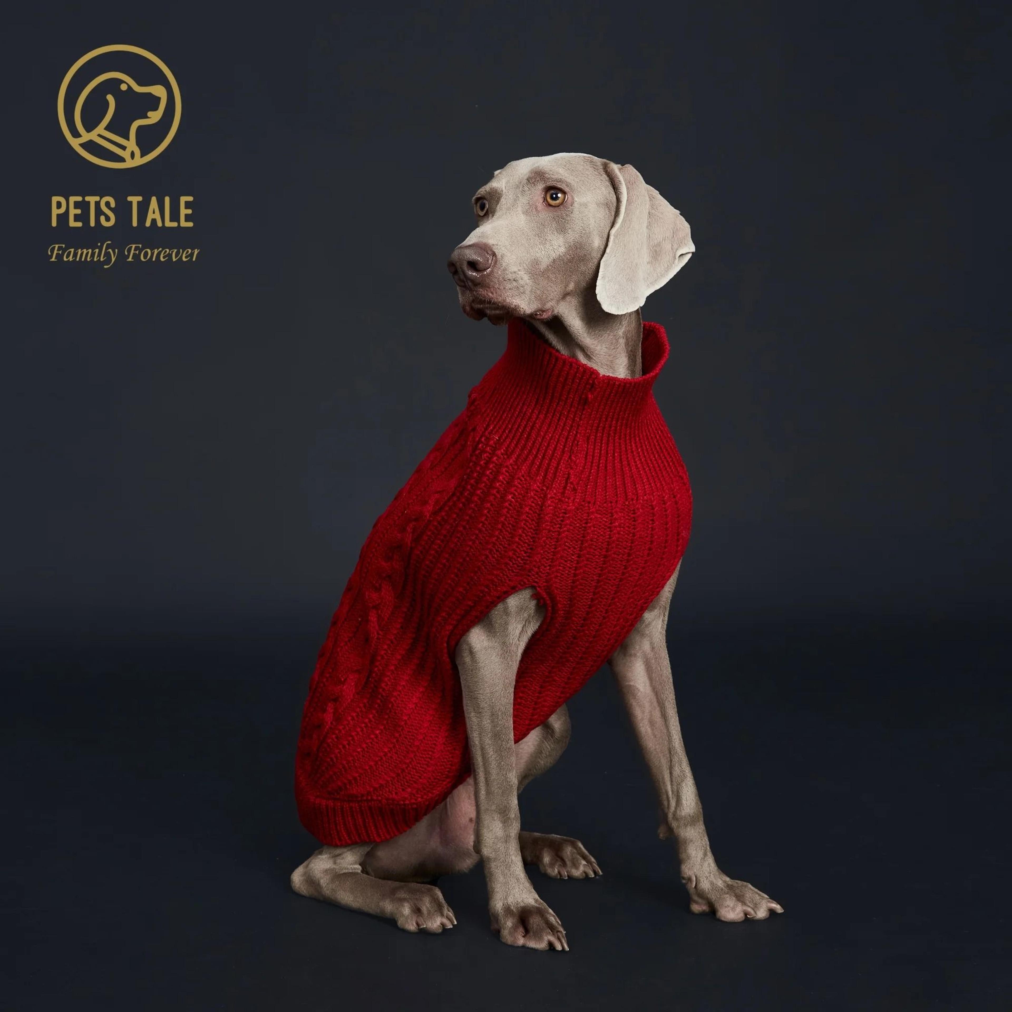 SnuggleKnit Winter Dog Sweater For Warm And Stylish Comfort 10