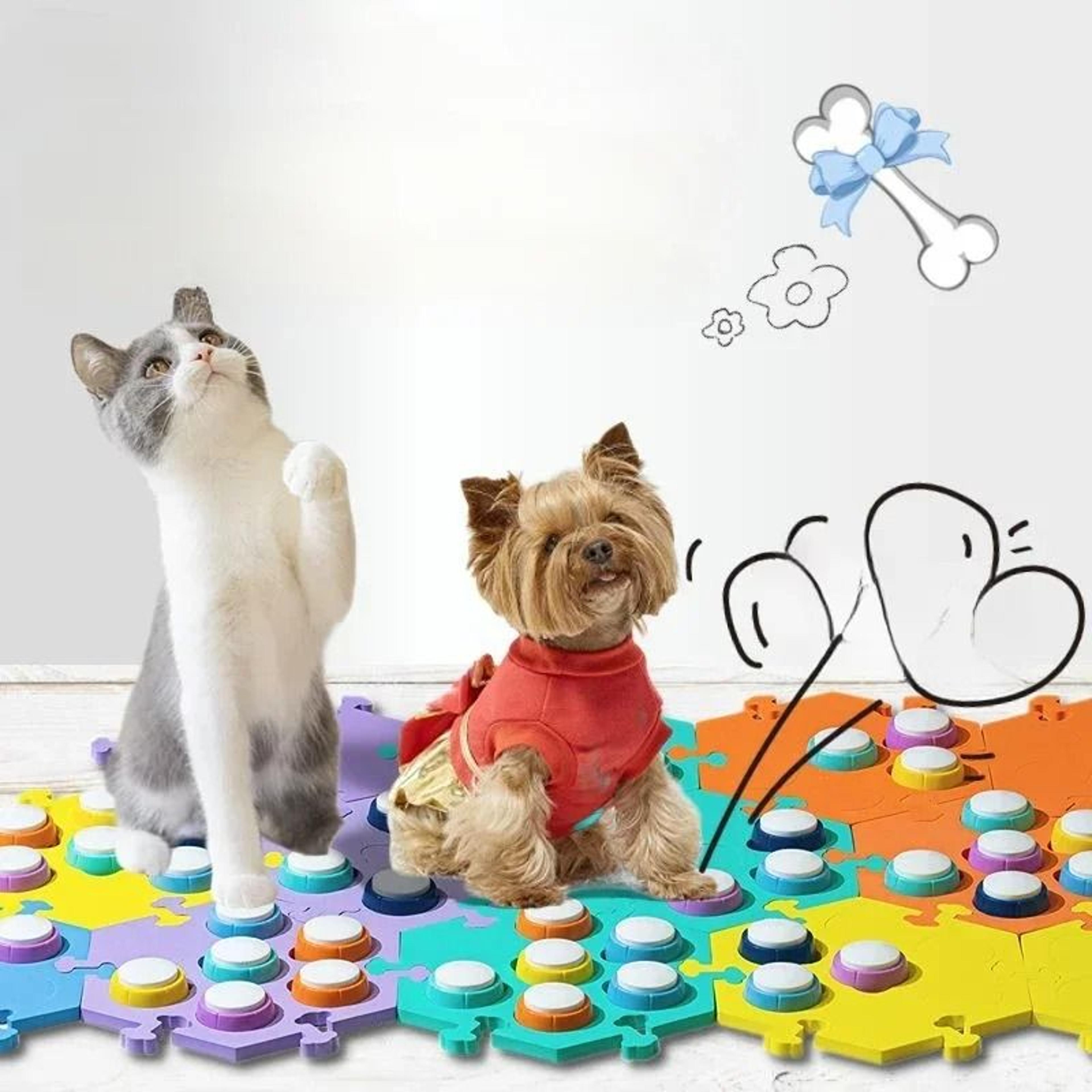 pettalk voice recording communication buttons for dog and cat training