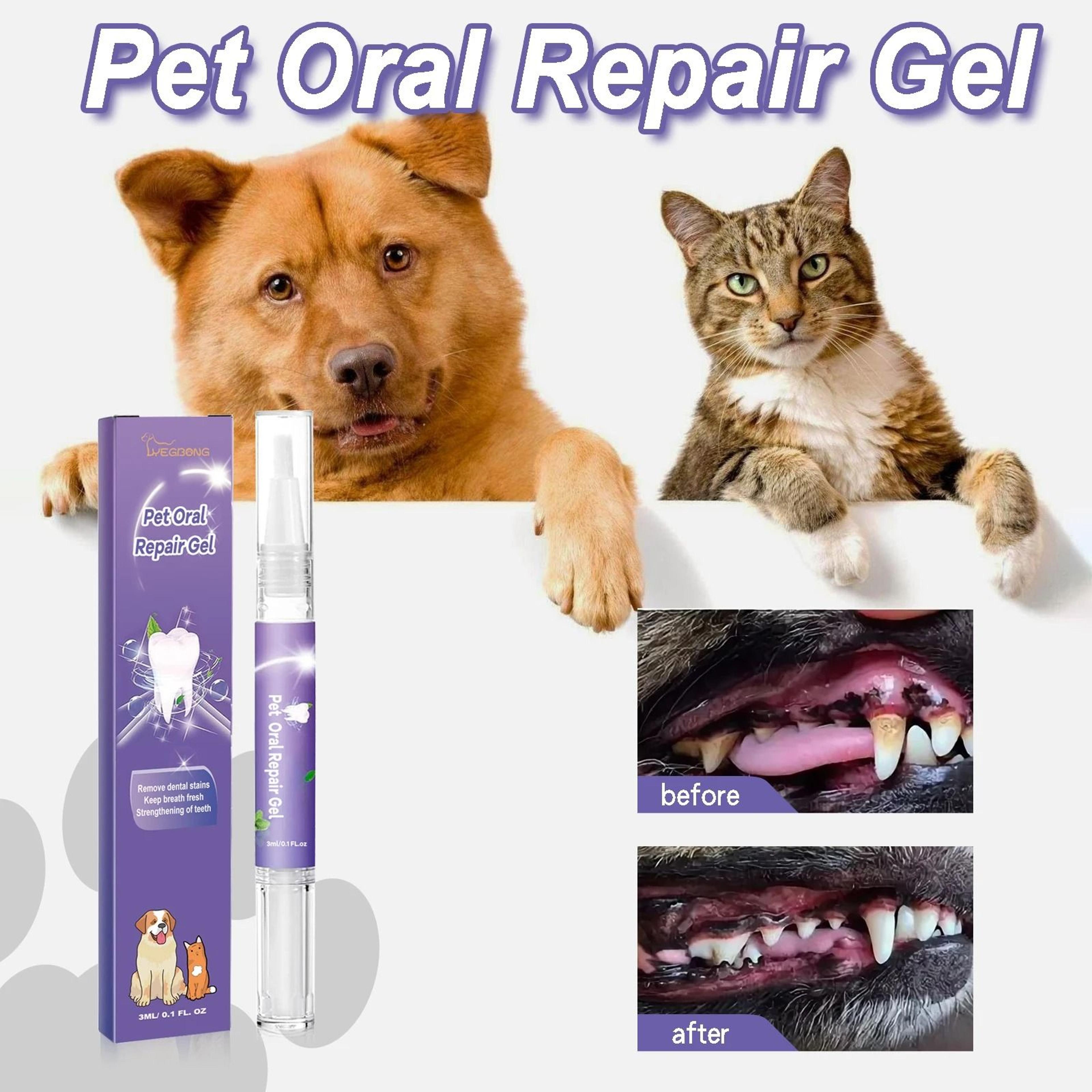 freshsmile pet dental care gel teeth cleaning pen for dogs and cats