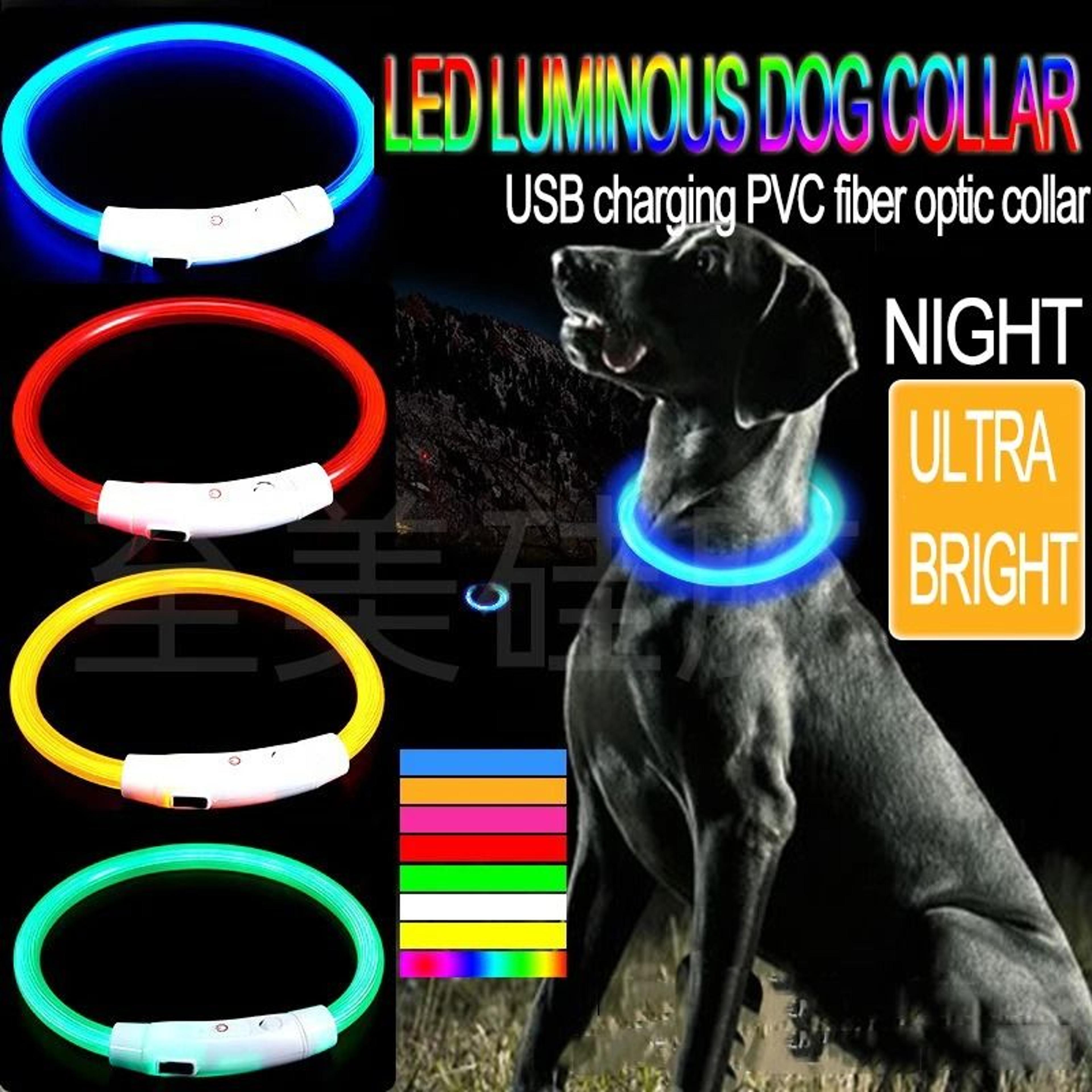 rechargeable led dog collar glowing night safety collar for dogs