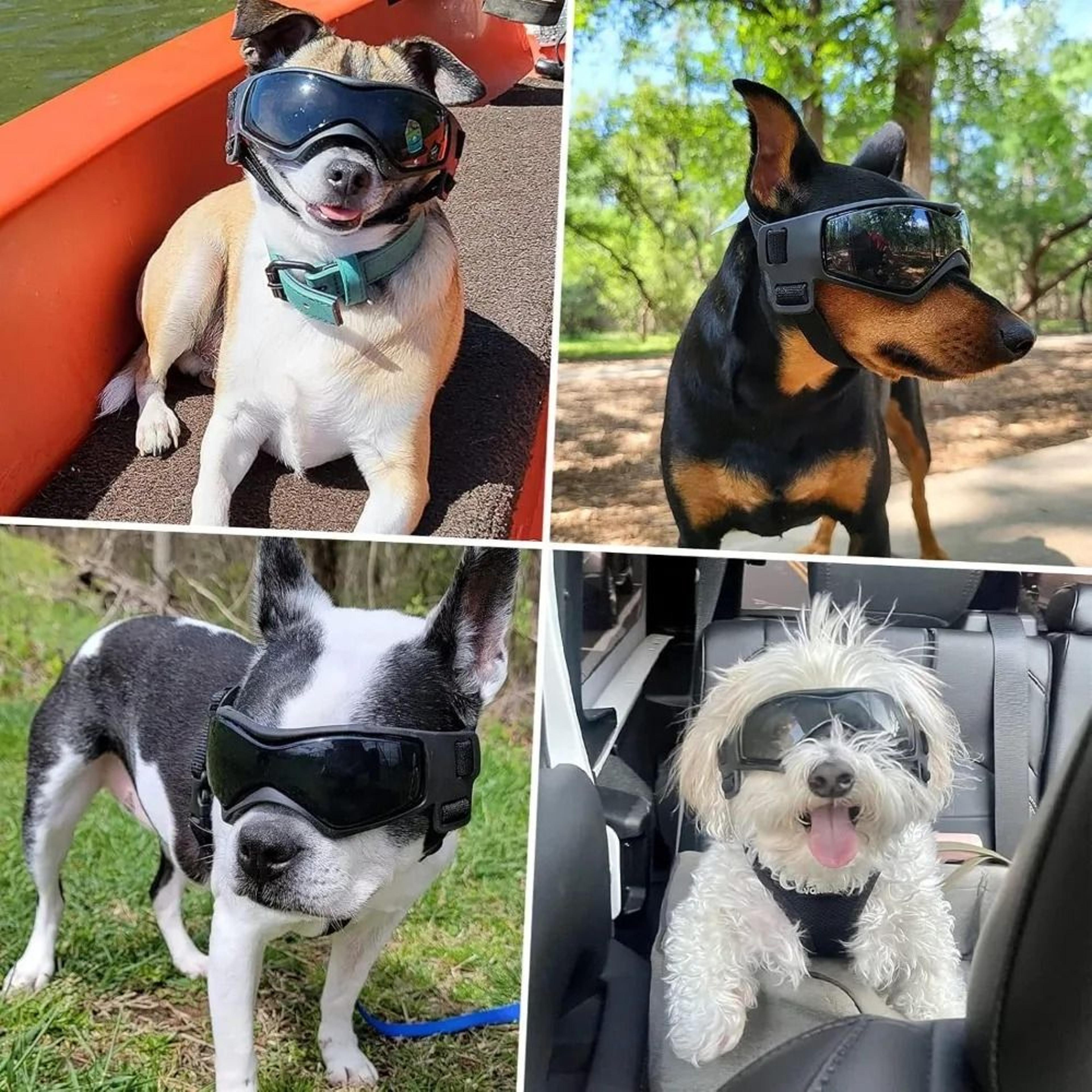 Adjustable UV Protection Dog Sunglasses For Small And Medium Breeds 3