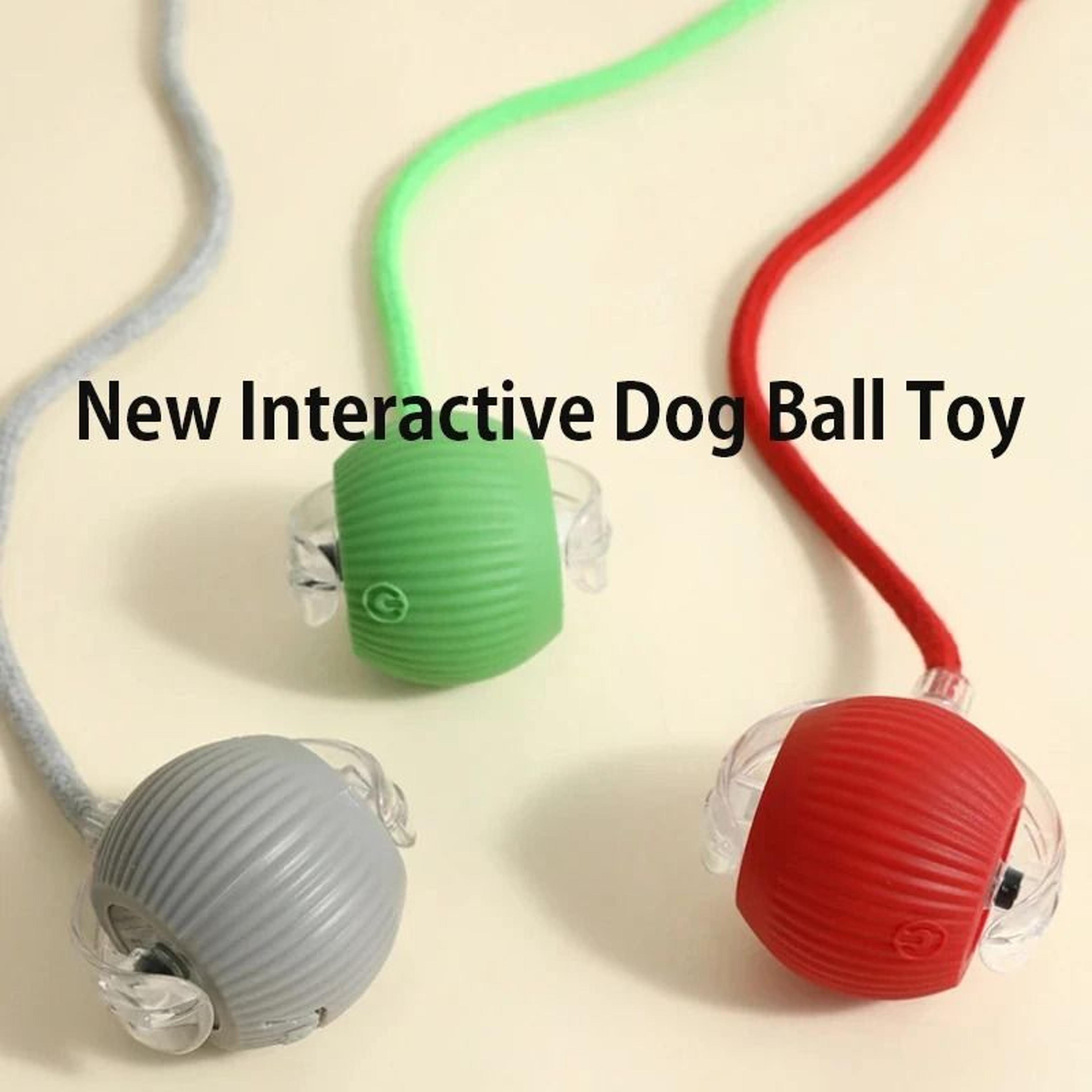 Smart Automatic Interactive Dog Ball Rechargeable Rolling Toy For Puppies And Dogs 7