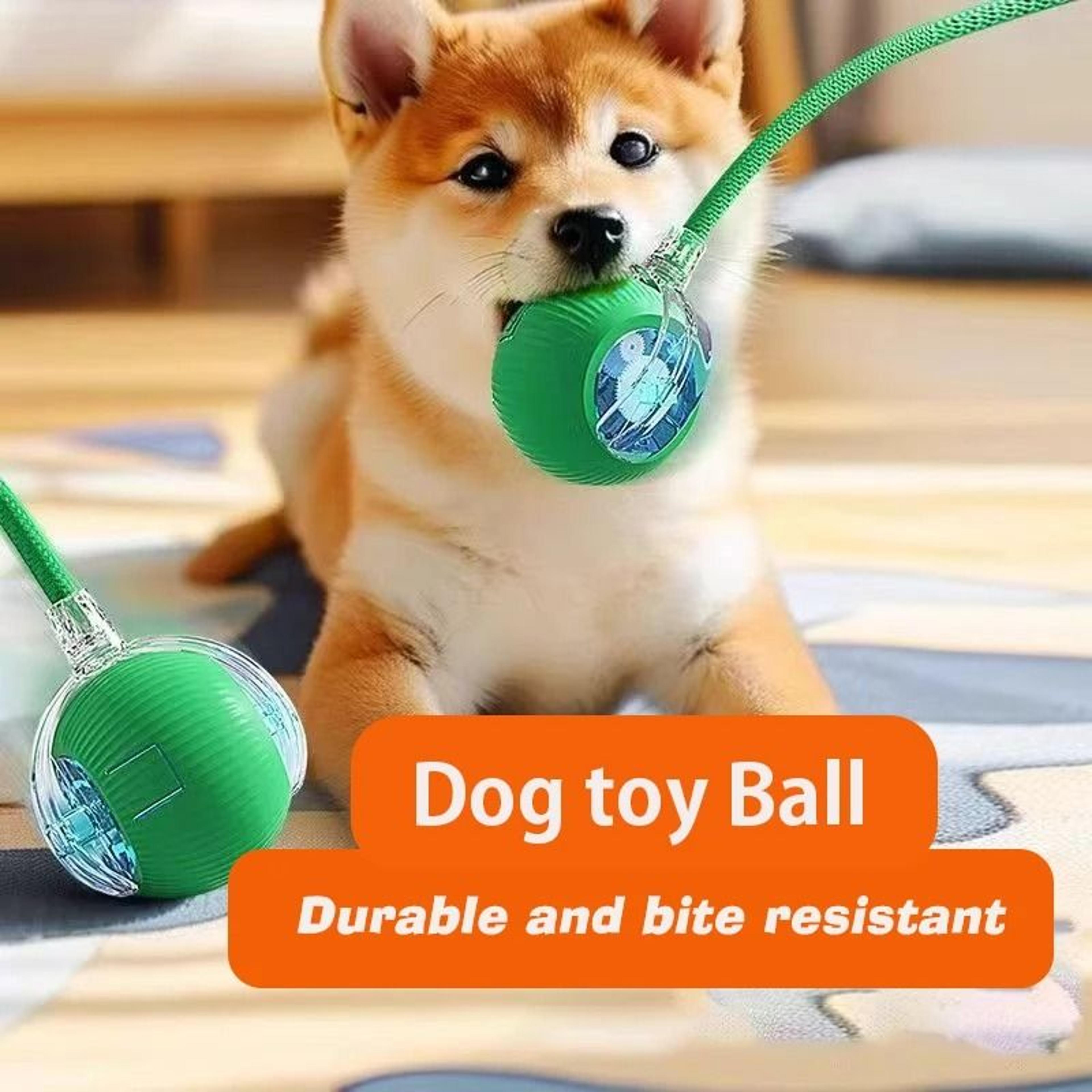 Smart Automatic Interactive Dog Ball Rechargeable Rolling Toy For Puppies And Dogs 8