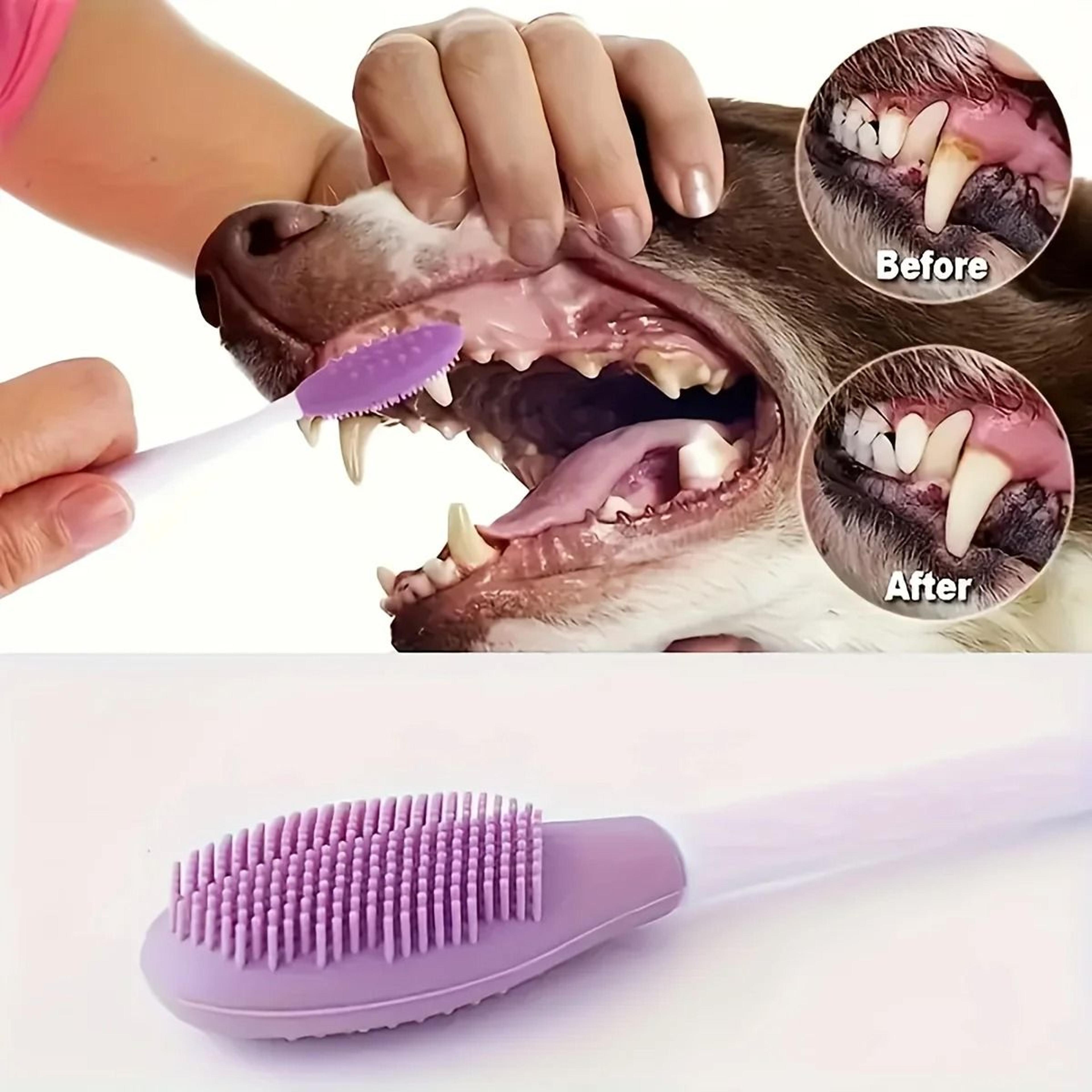 Soft Double Sided Dog Toothbrush Set With Comfortable Handle For Pet Teeth Cleaning 3