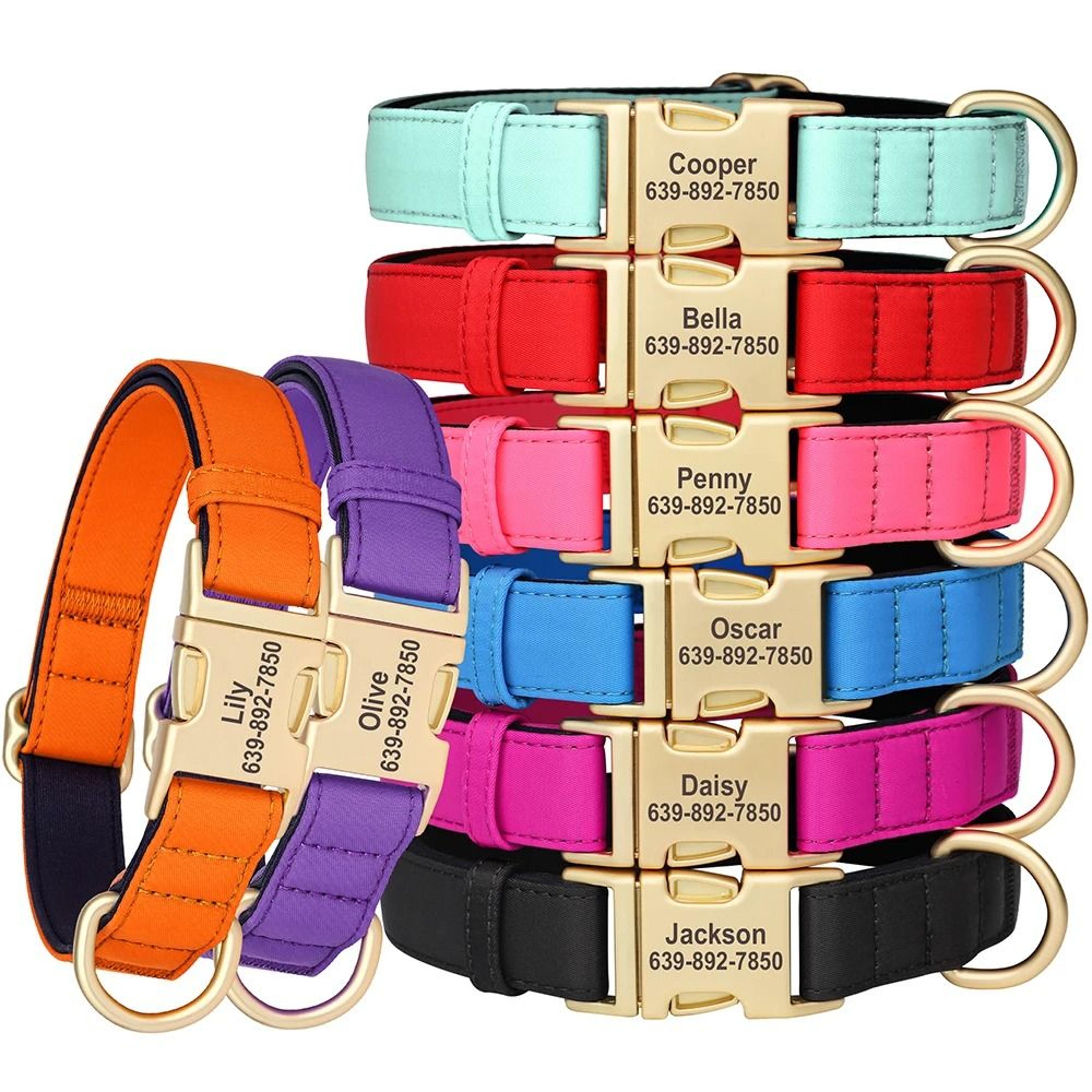 Personalized Waterproof Dog Collar With Soft Padding And Free Engraving For Small Medium And Large  12