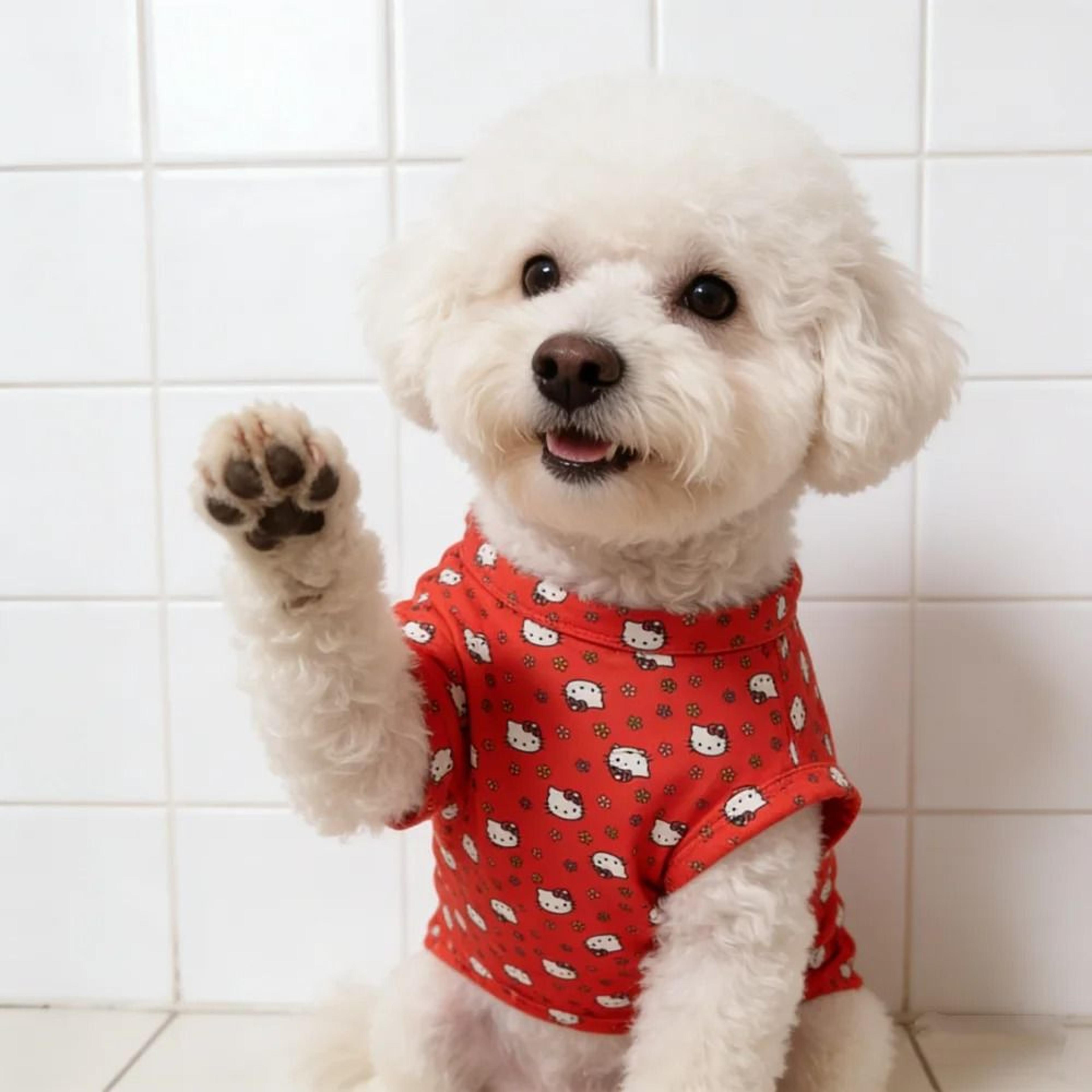 sanrio inspired pet vest shirt soft sleeveless printed t shirt for dogs and cats