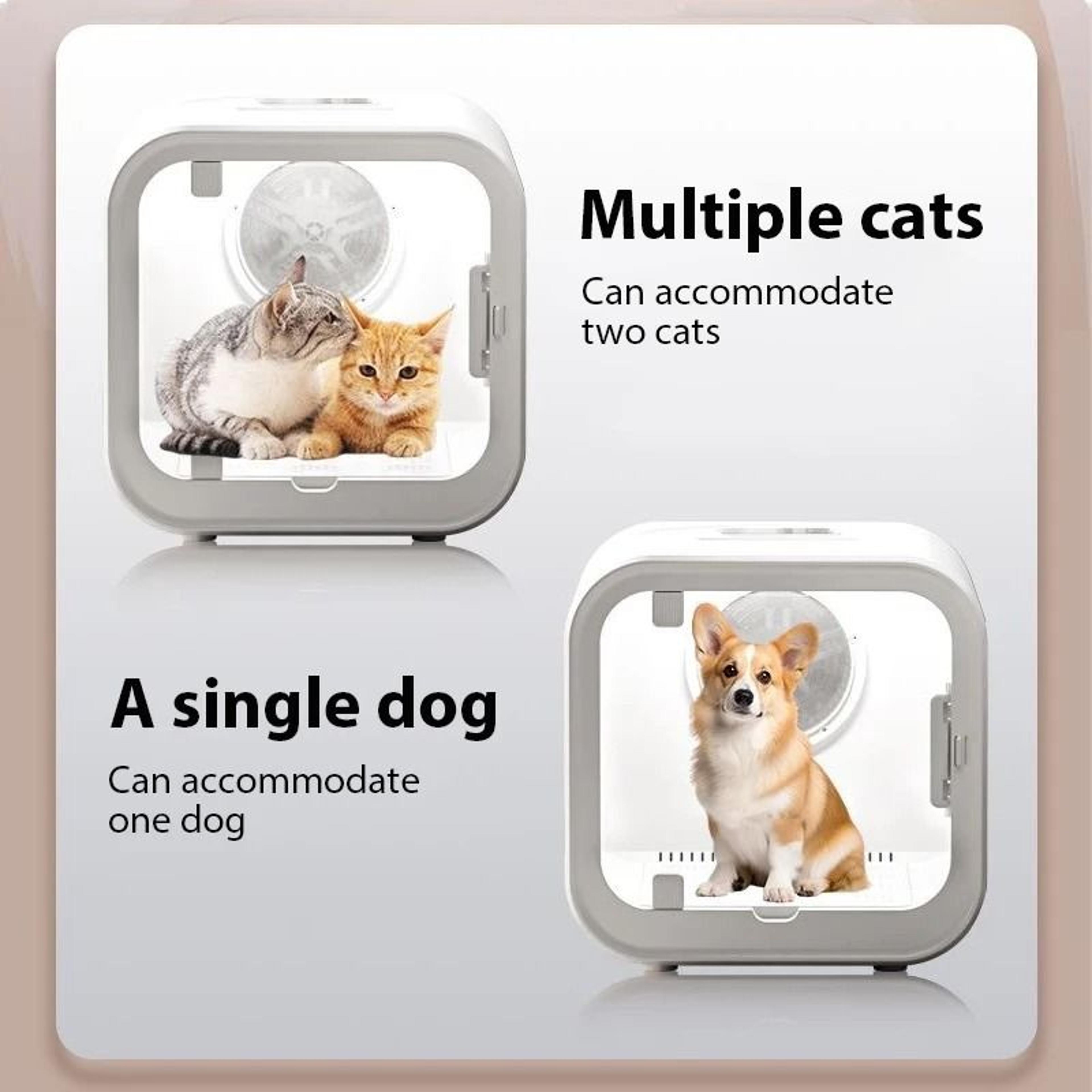 Ultra Quiet Pet Dryer Box Portable Low Noise Grooming Dryer For Cats And Dogs 5