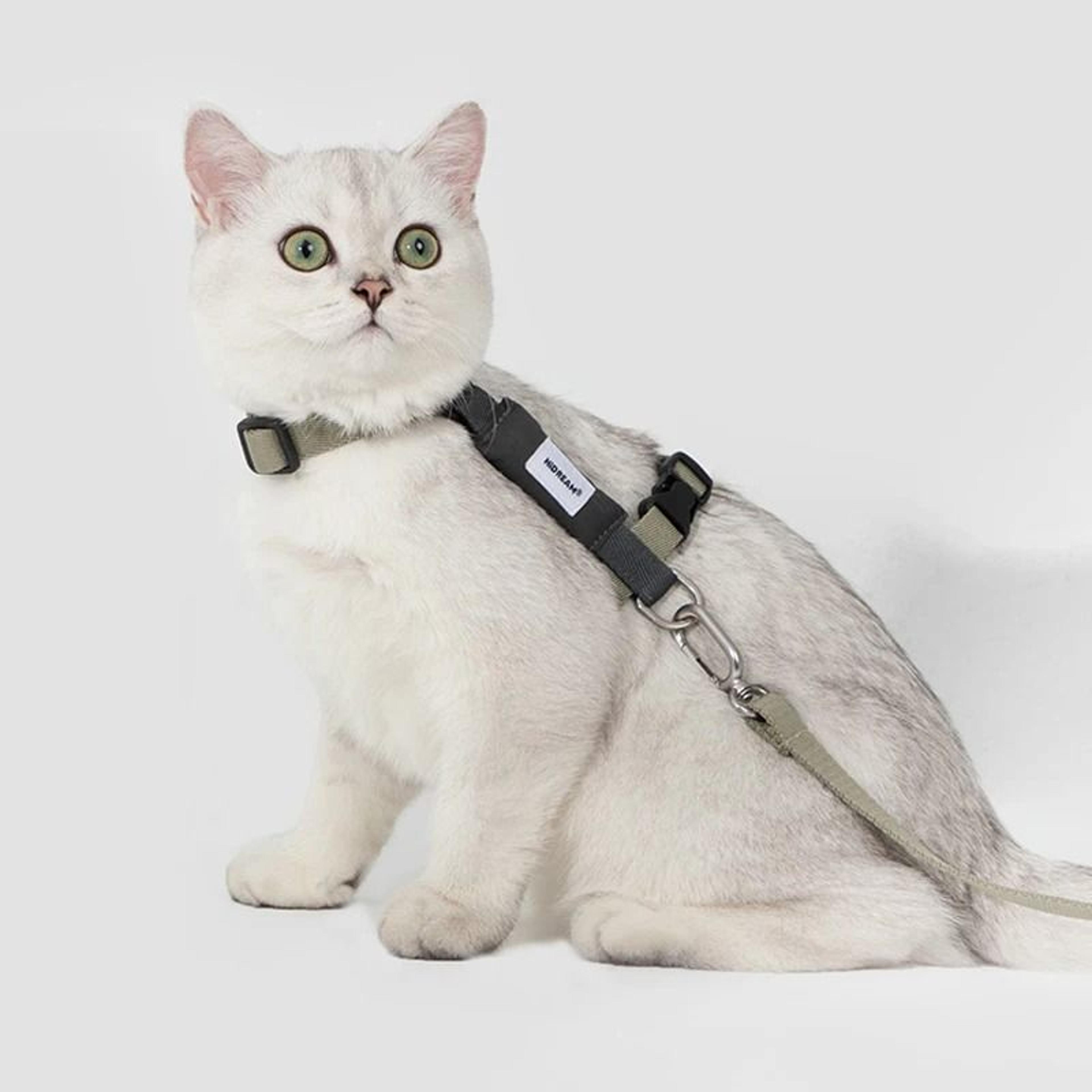 Breathable Cat Harness Leash Set Adjustable Kitten Vest And Outdoor Walking Lead 6