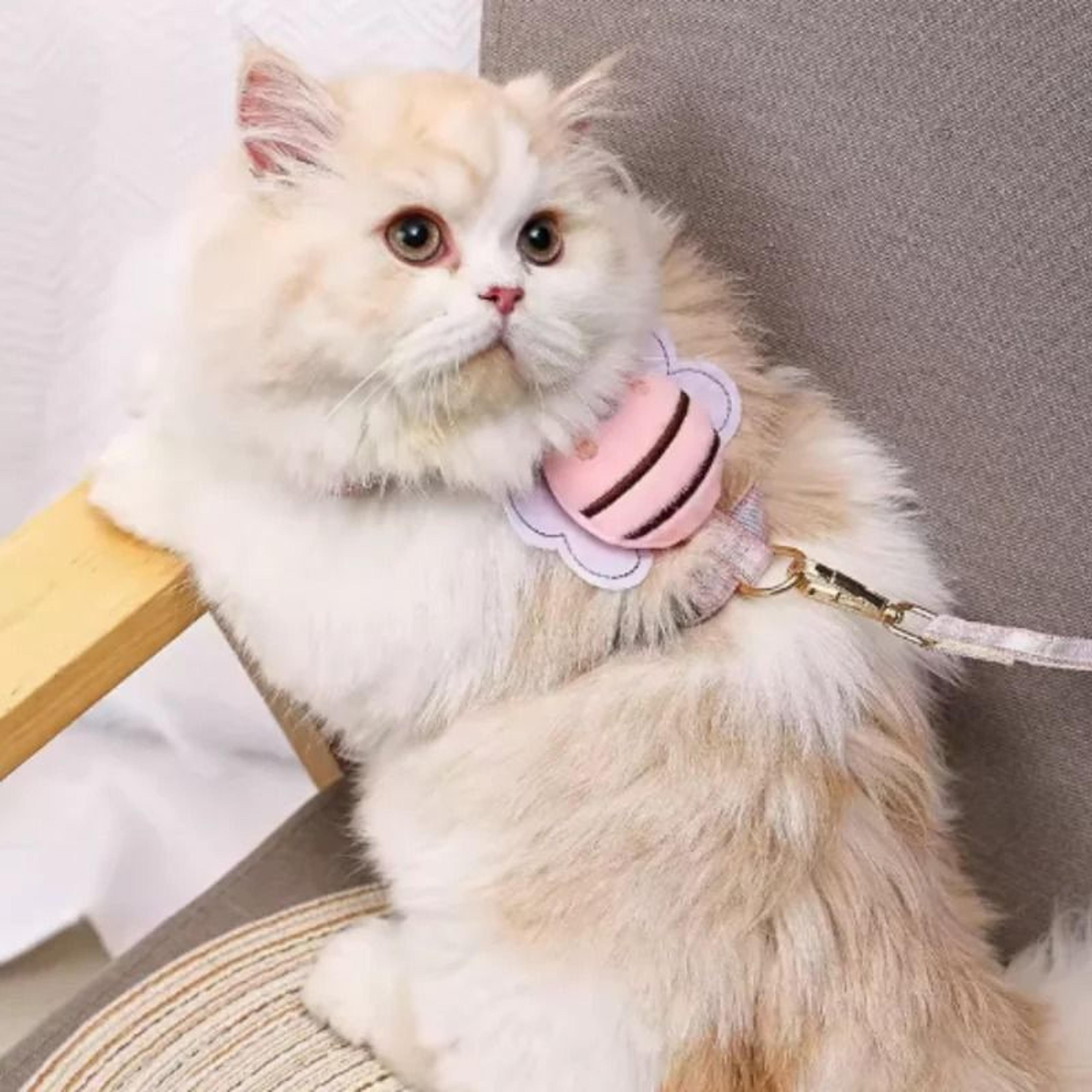 Adjustable Pet Harness And Leash Set For Cats And Small Dogs 9