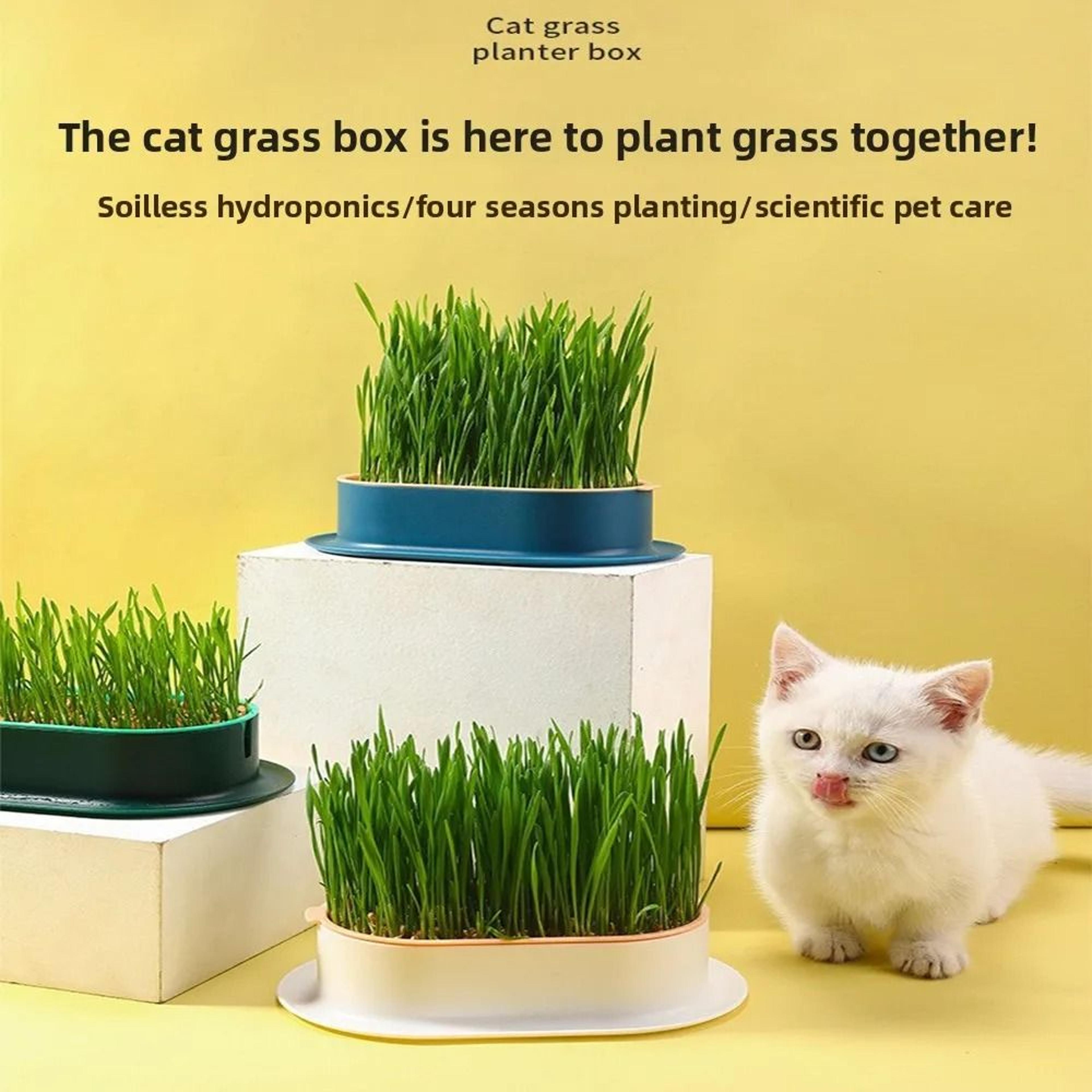 Hydroponic Cat Grass Growing Box For Indoor Cats 11