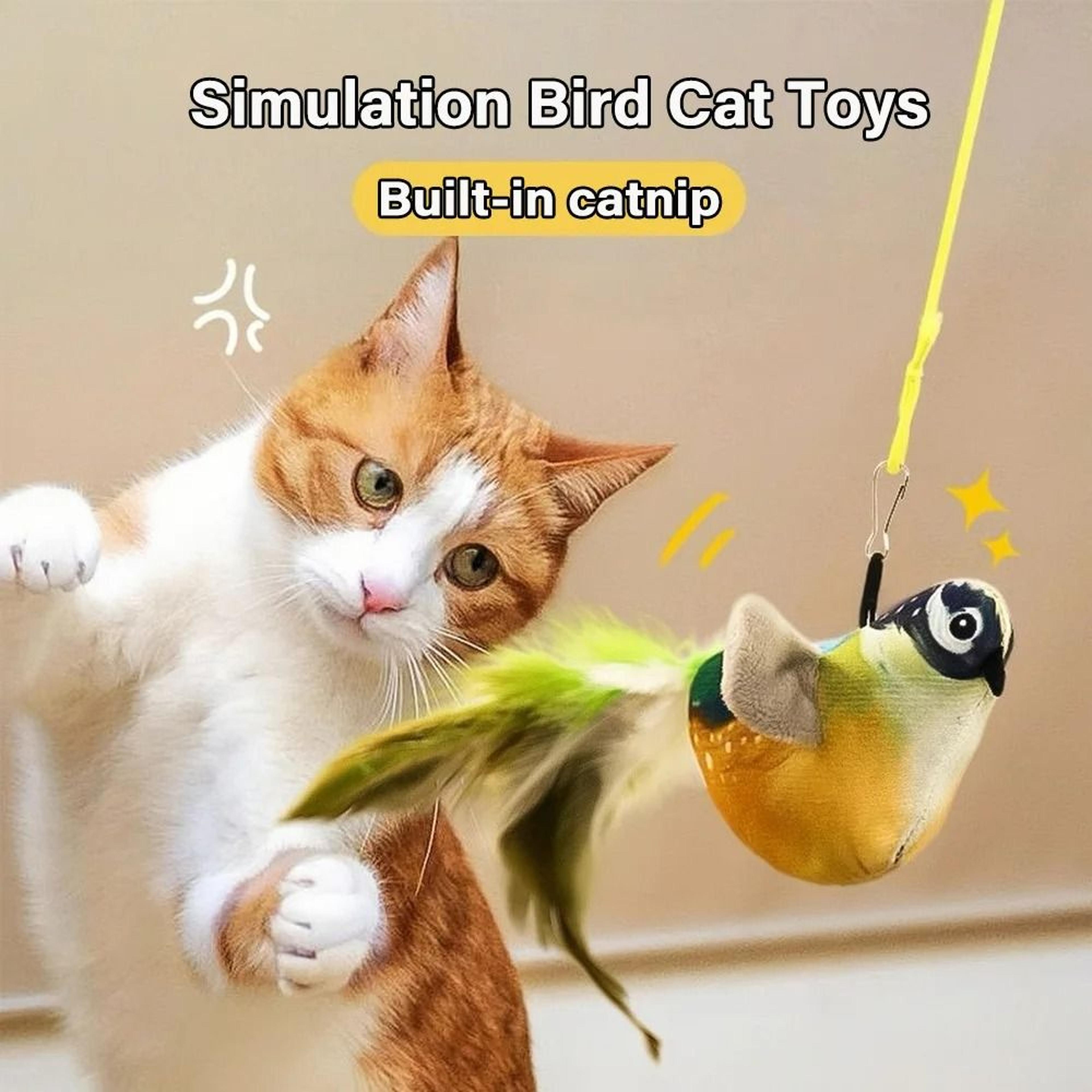 interactive sound bird cat toy with catnip for indoor cats