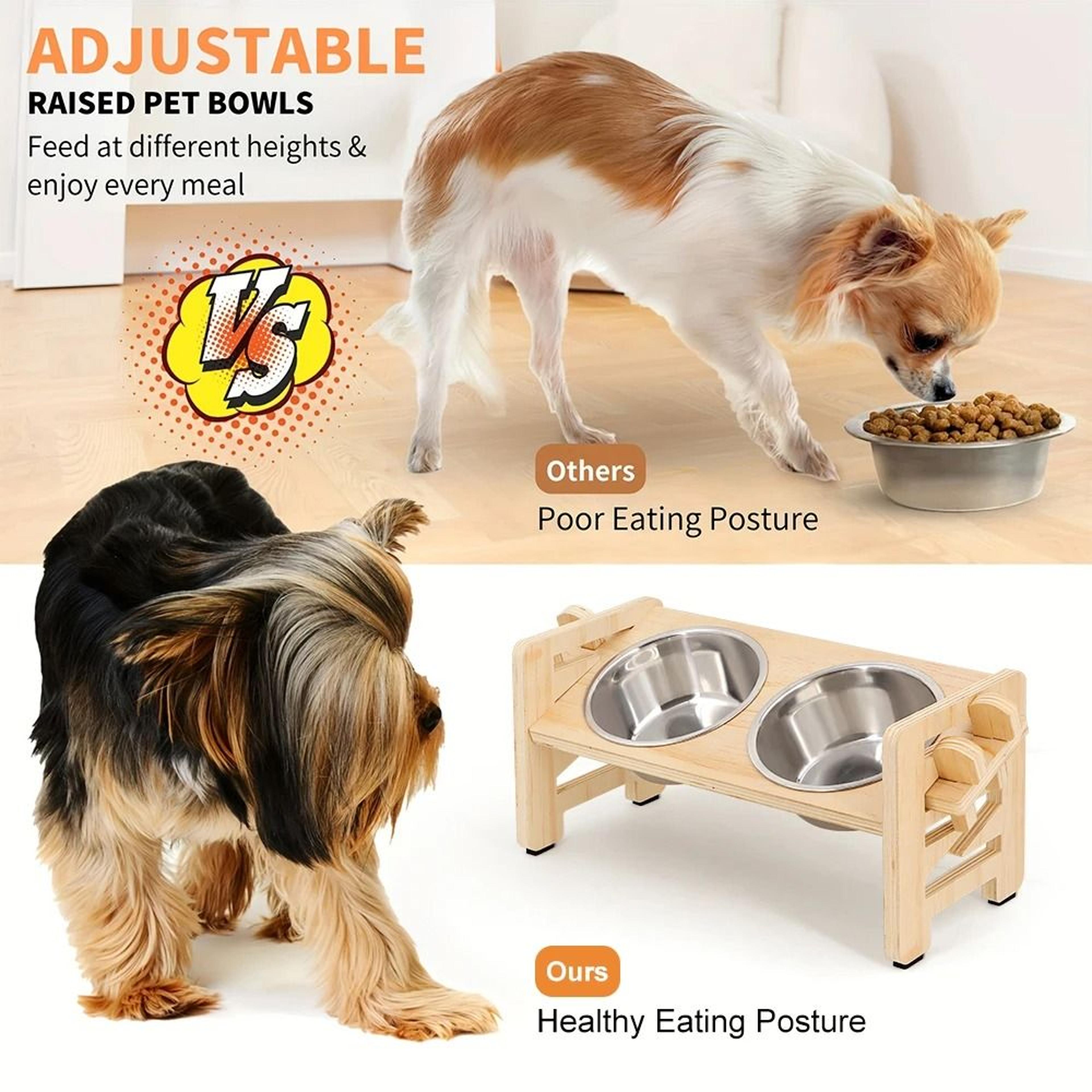 Adjustable Elevated Pet Feeder With Stainless Steel Bowls For Cats And Small Dogs 6
