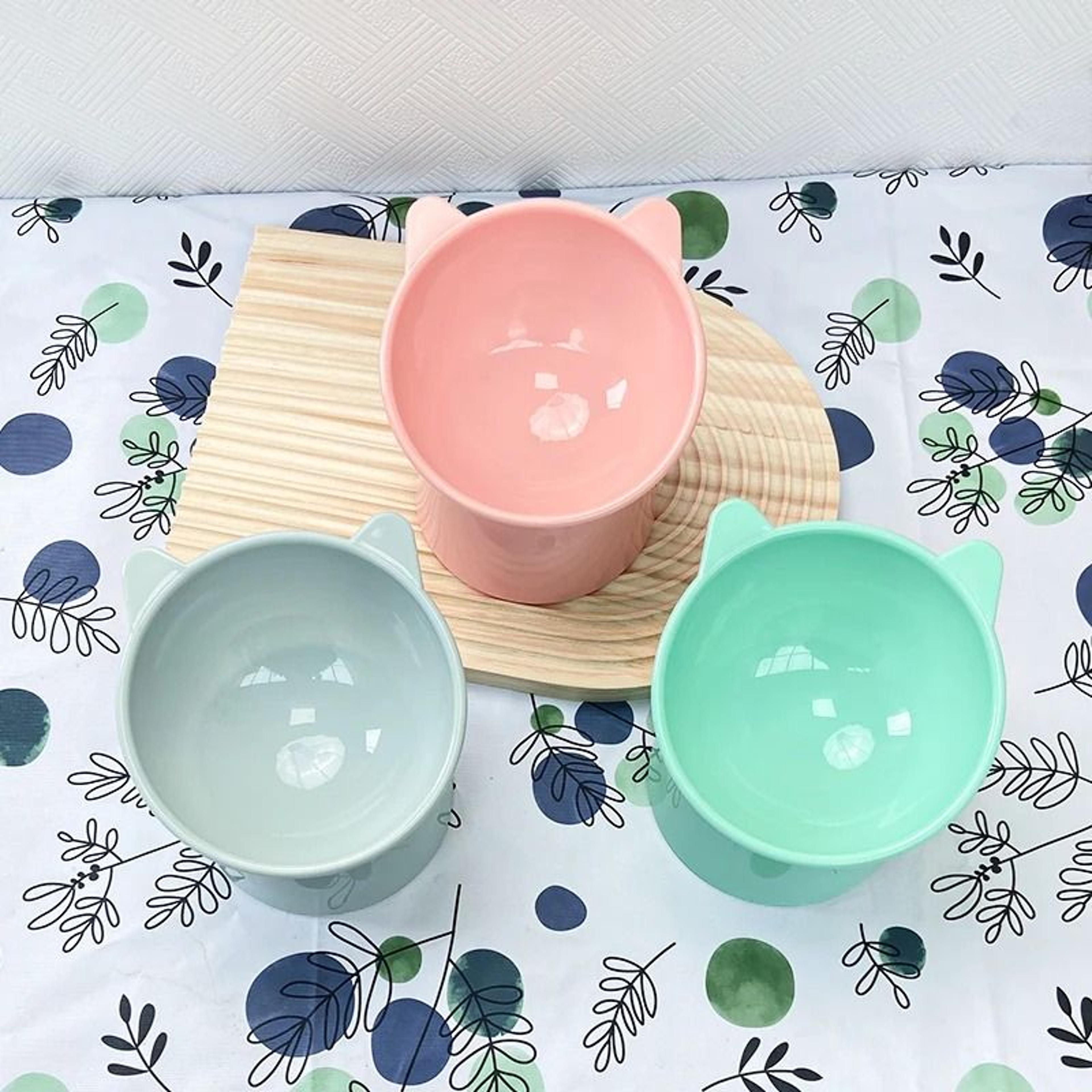 elevated tilted pet food bowl for cats and dogs