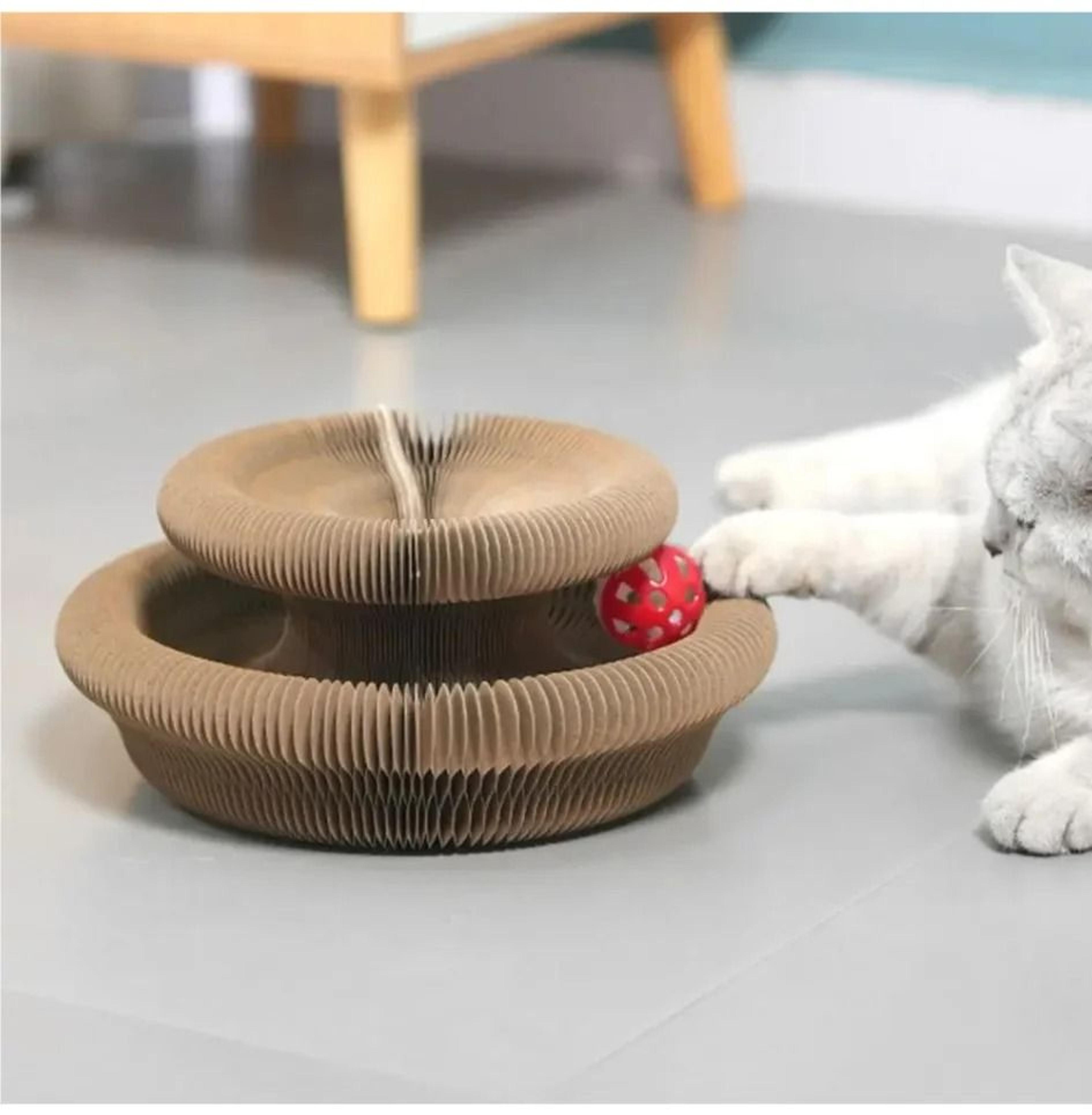 Transformable Kitty Kurlz Cat Scratching Board Toy 5