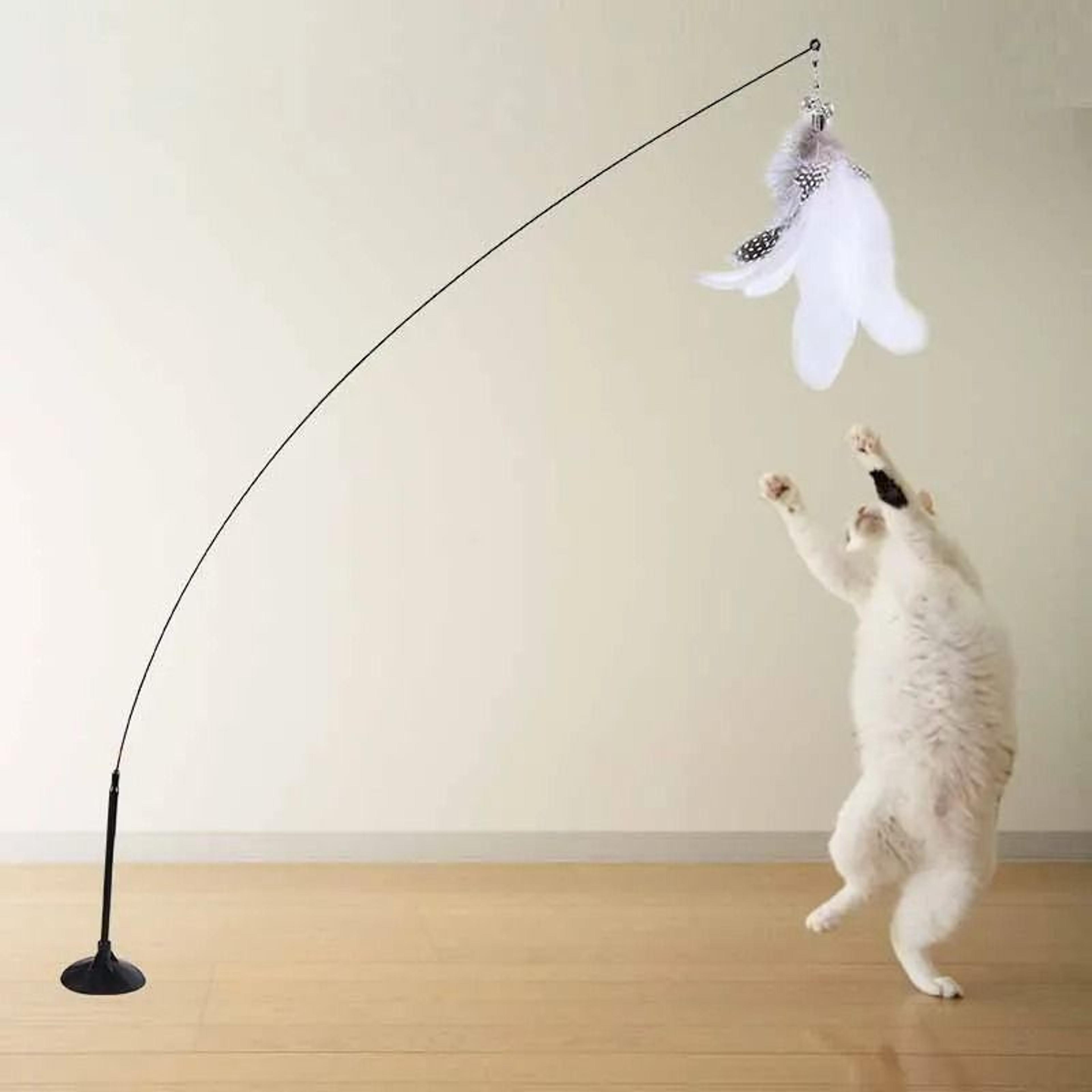 Colorful Feather Bell Suction Cup Interactive Cat Wand Toy 12