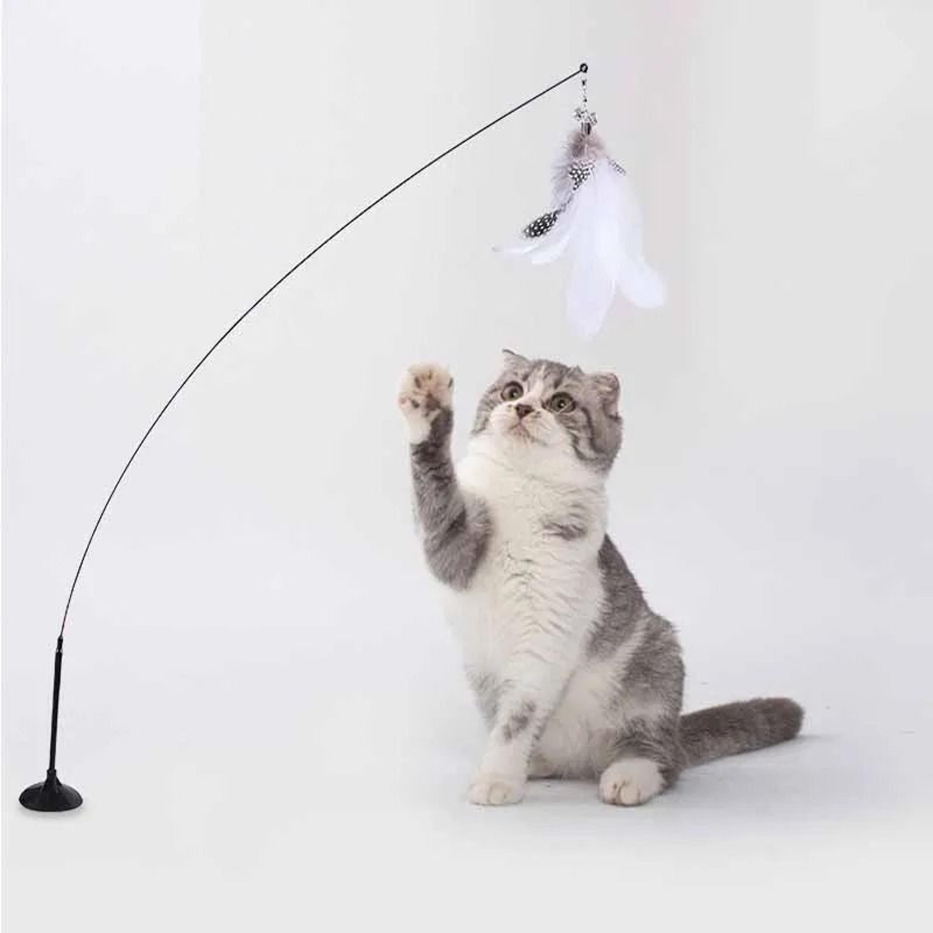 Colorful Feather Bell Suction Cup Interactive Cat Wand Toy 13