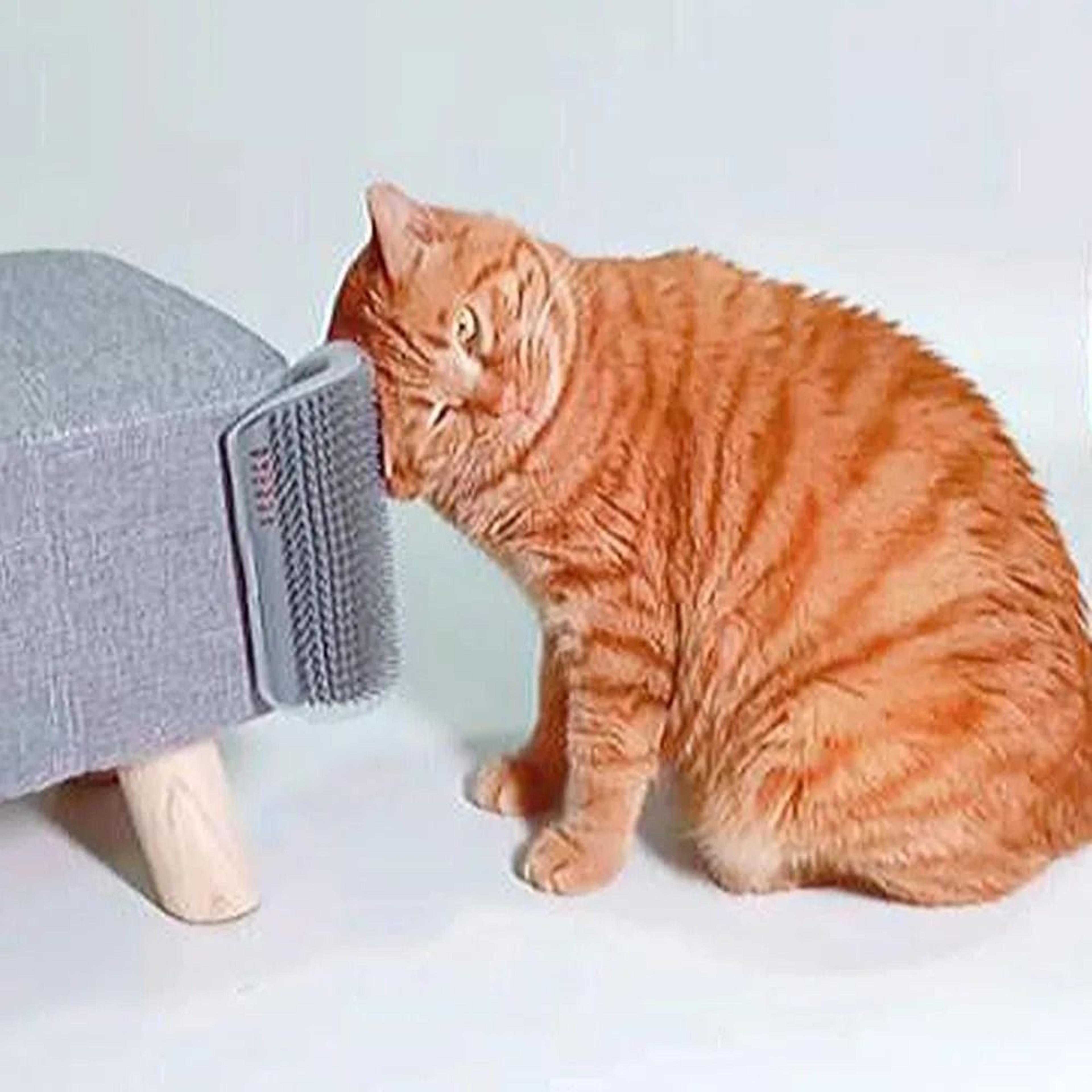 self grooming cat corner scratcher massage comb with catnip