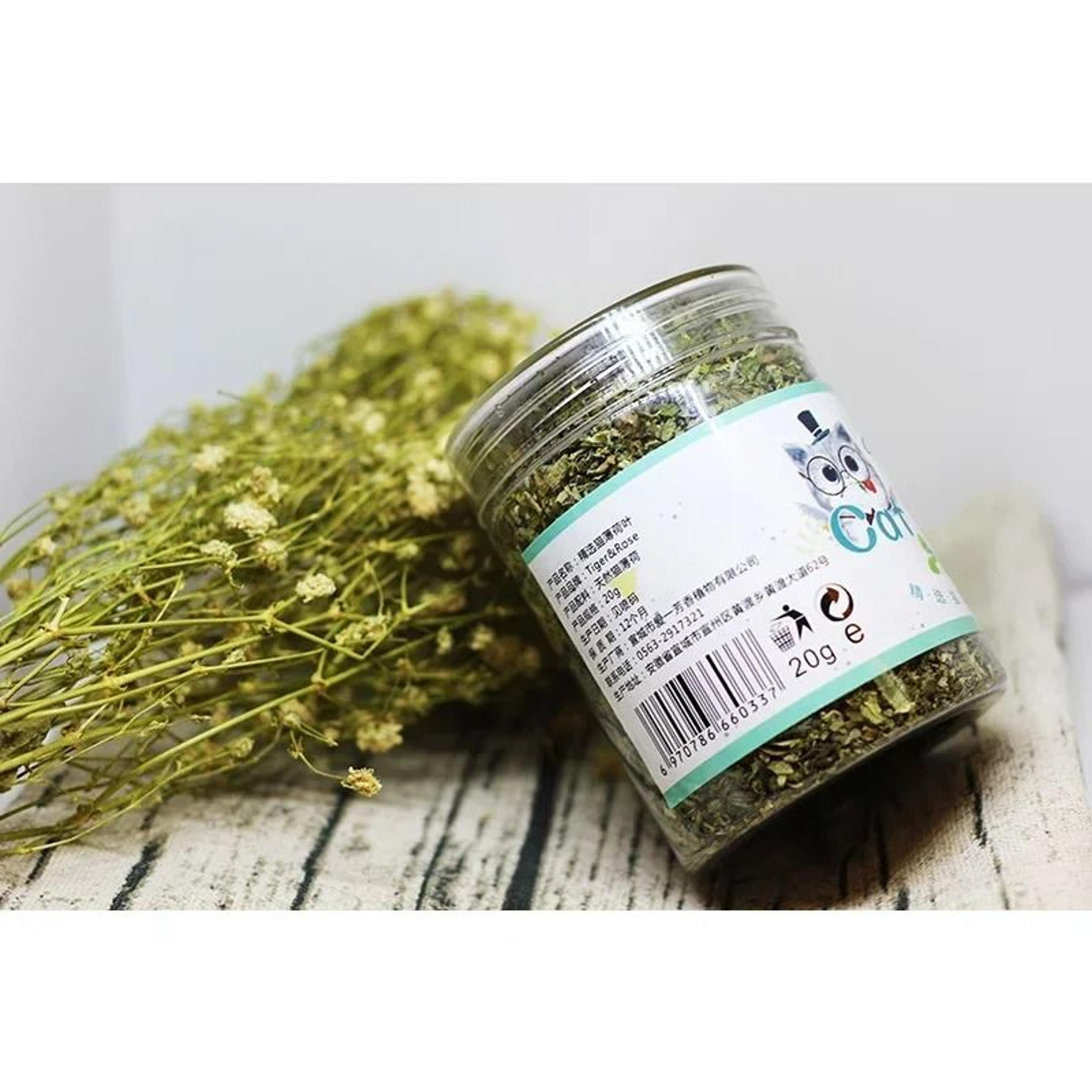 Organic Natural Catnip Mint Grass Interactive Cat Toy 5