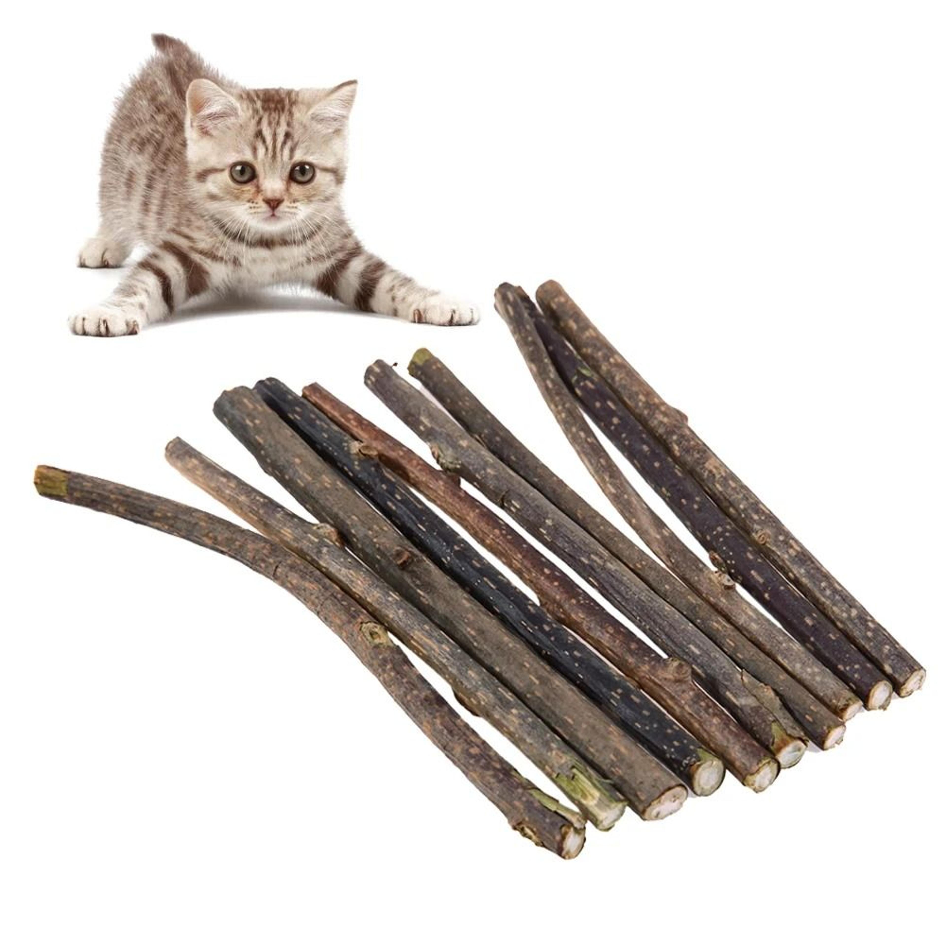 natural silvervine catnip sticks cat chew toys for teeth cleaning and play