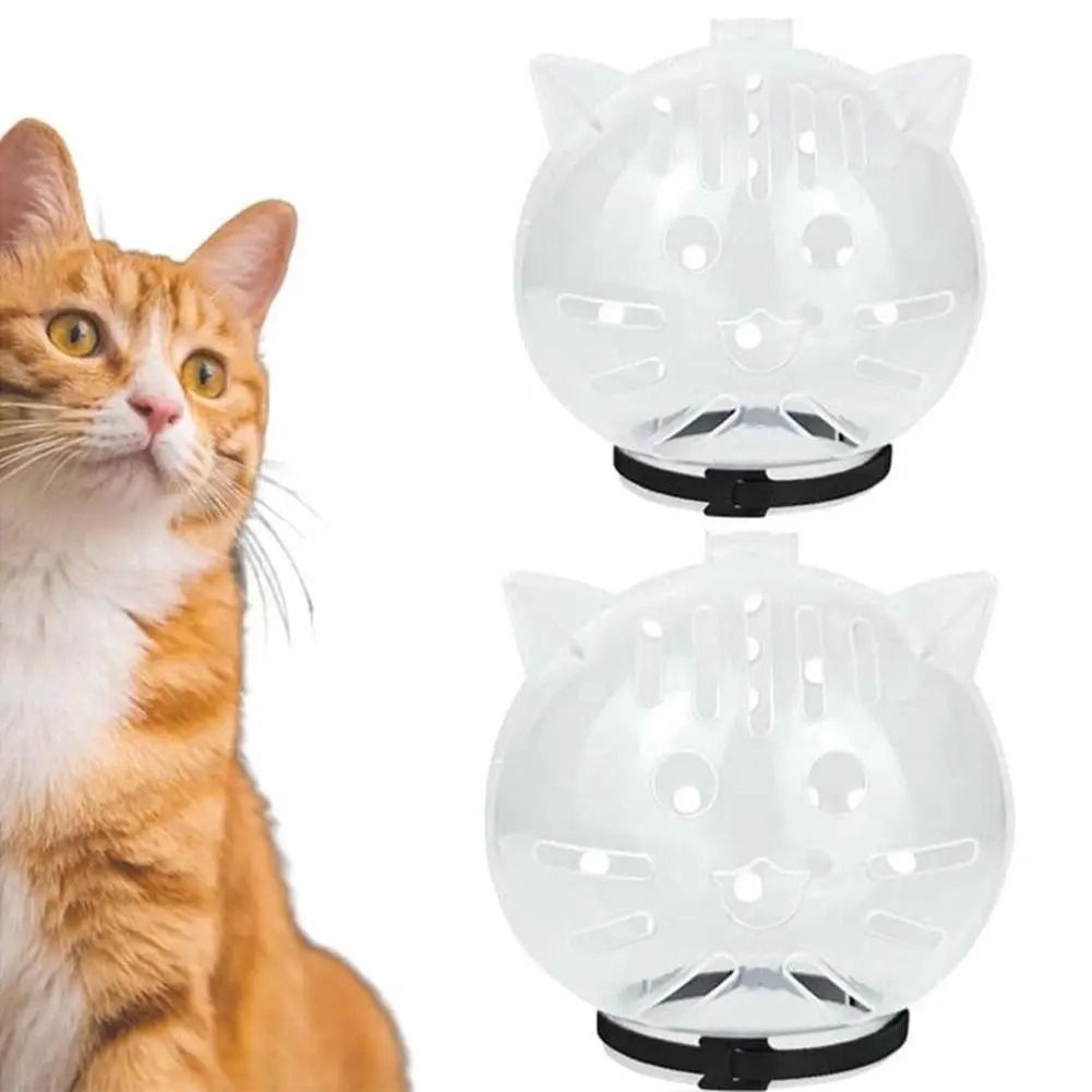 Transparent Cat Grooming Headgear Anti Bite Protective Helmet For Grooming And Care 4