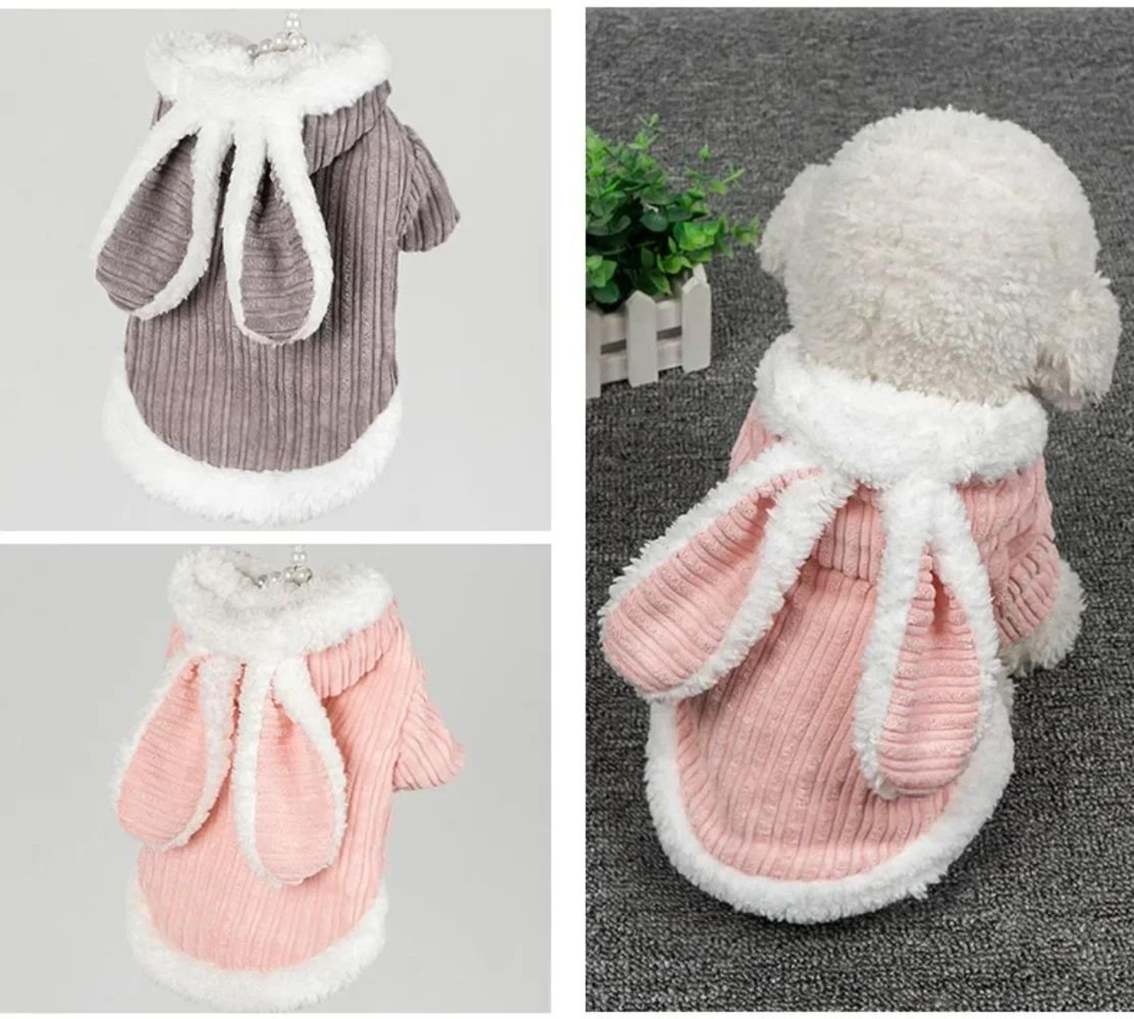 Warm Two Legged Cat And Small Dog Clothes Soft Autumn Winter Pet Outfit For Hairless Cats 4