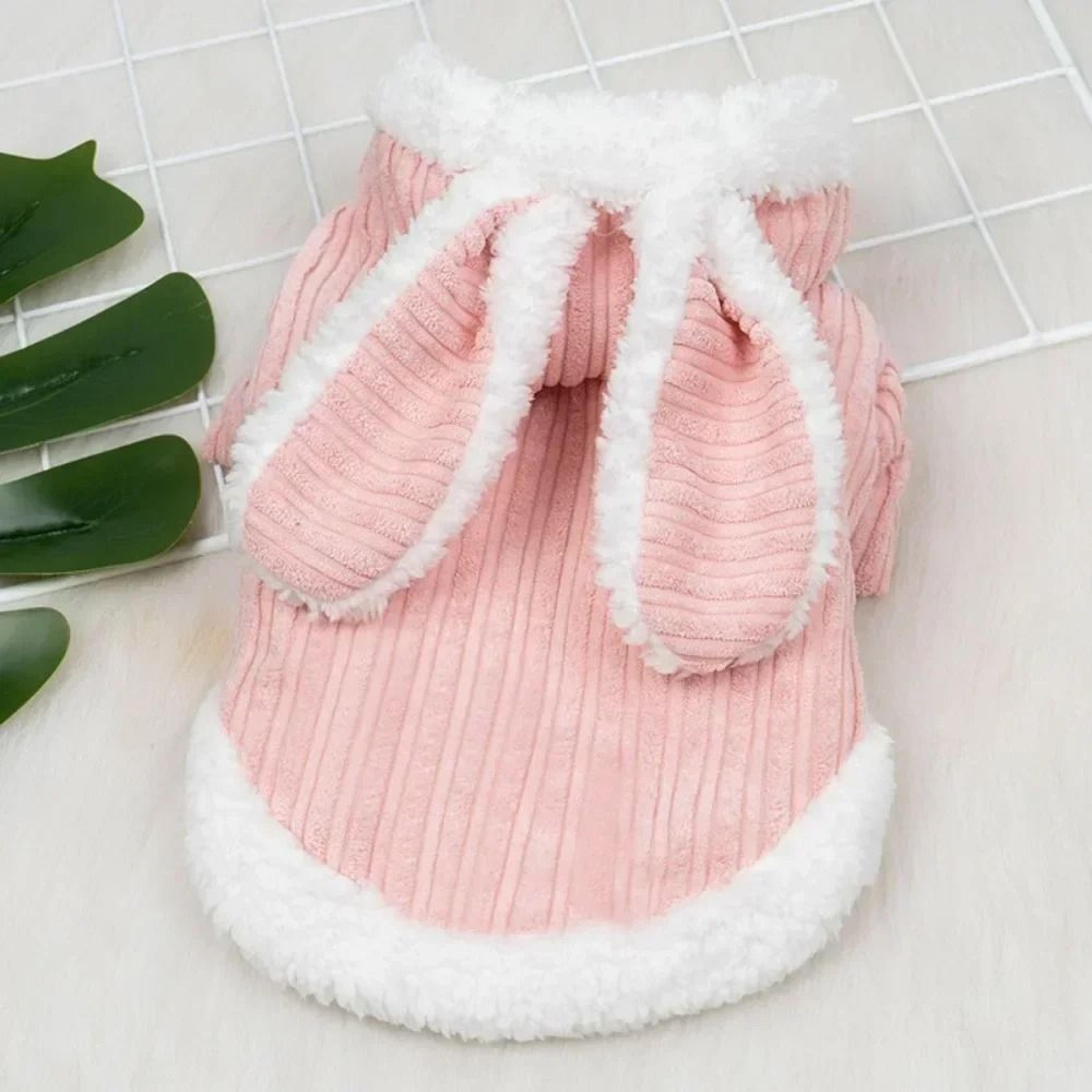 Warm Two Legged Cat And Small Dog Clothes Soft Autumn Winter Pet Outfit For Hairless Cats 6