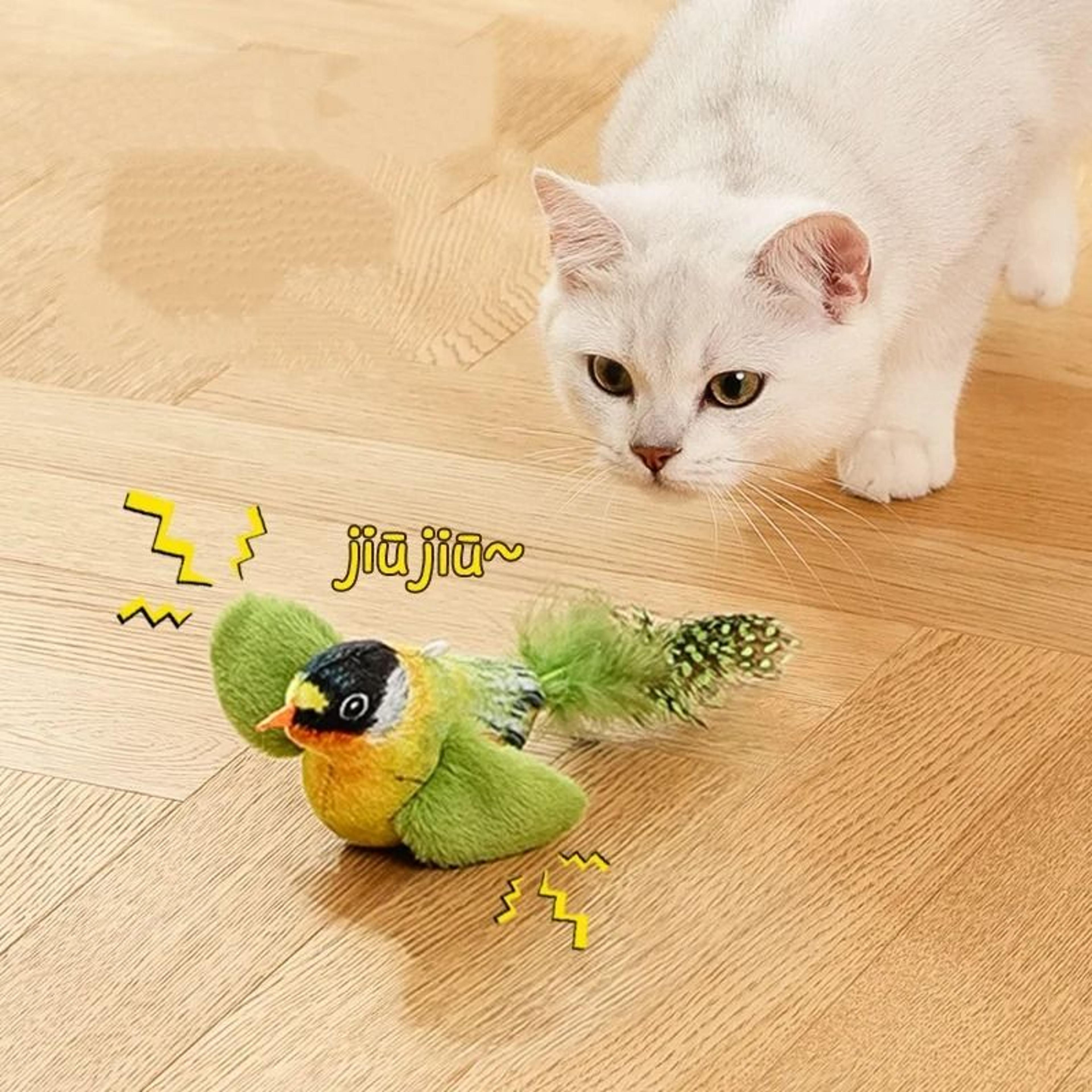 Interactive Bird Cat Teaser Toy With Catnip And Hanging Feather For Kittens 8