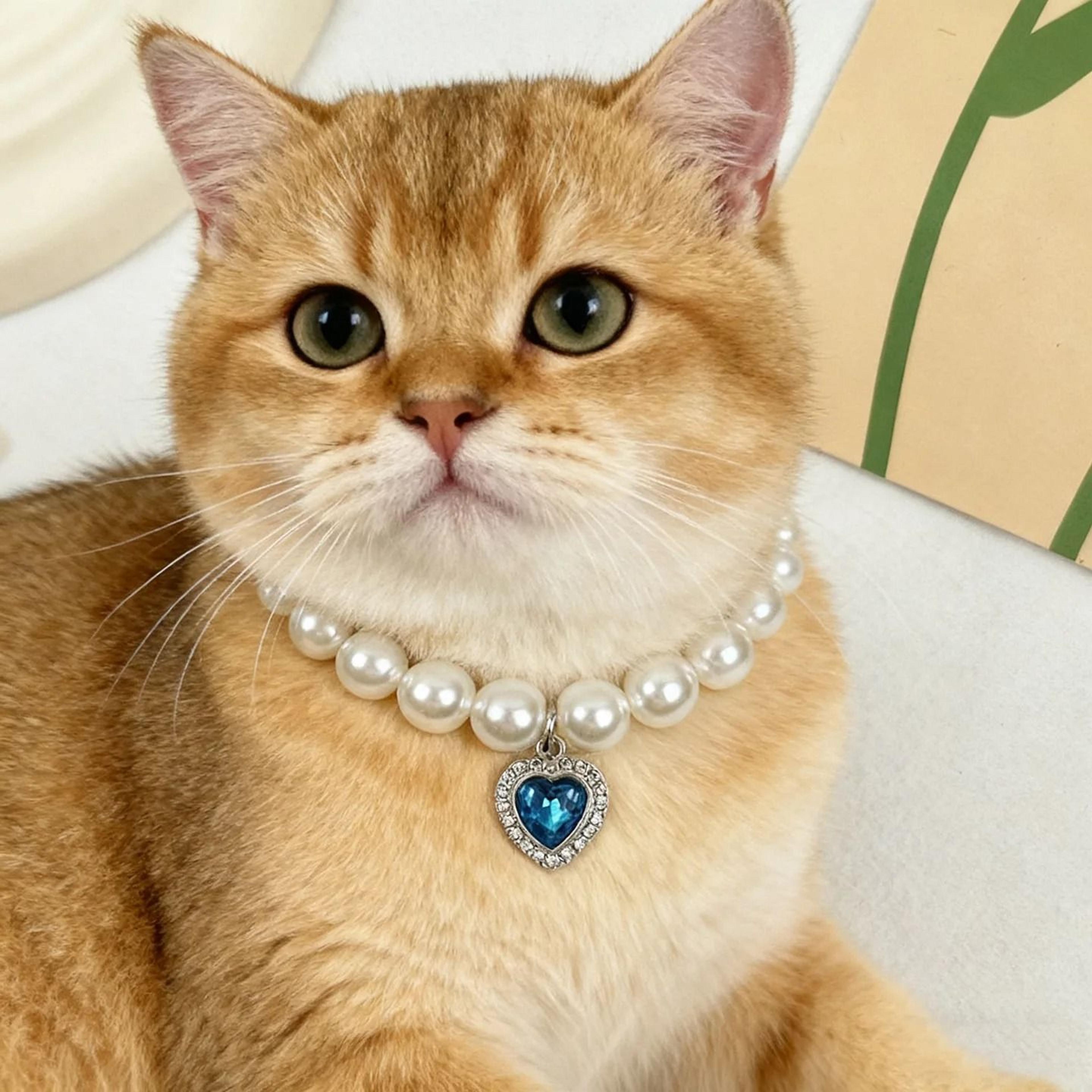 adjustable pearl cat collar elegant pet necklace for kittens and small cats