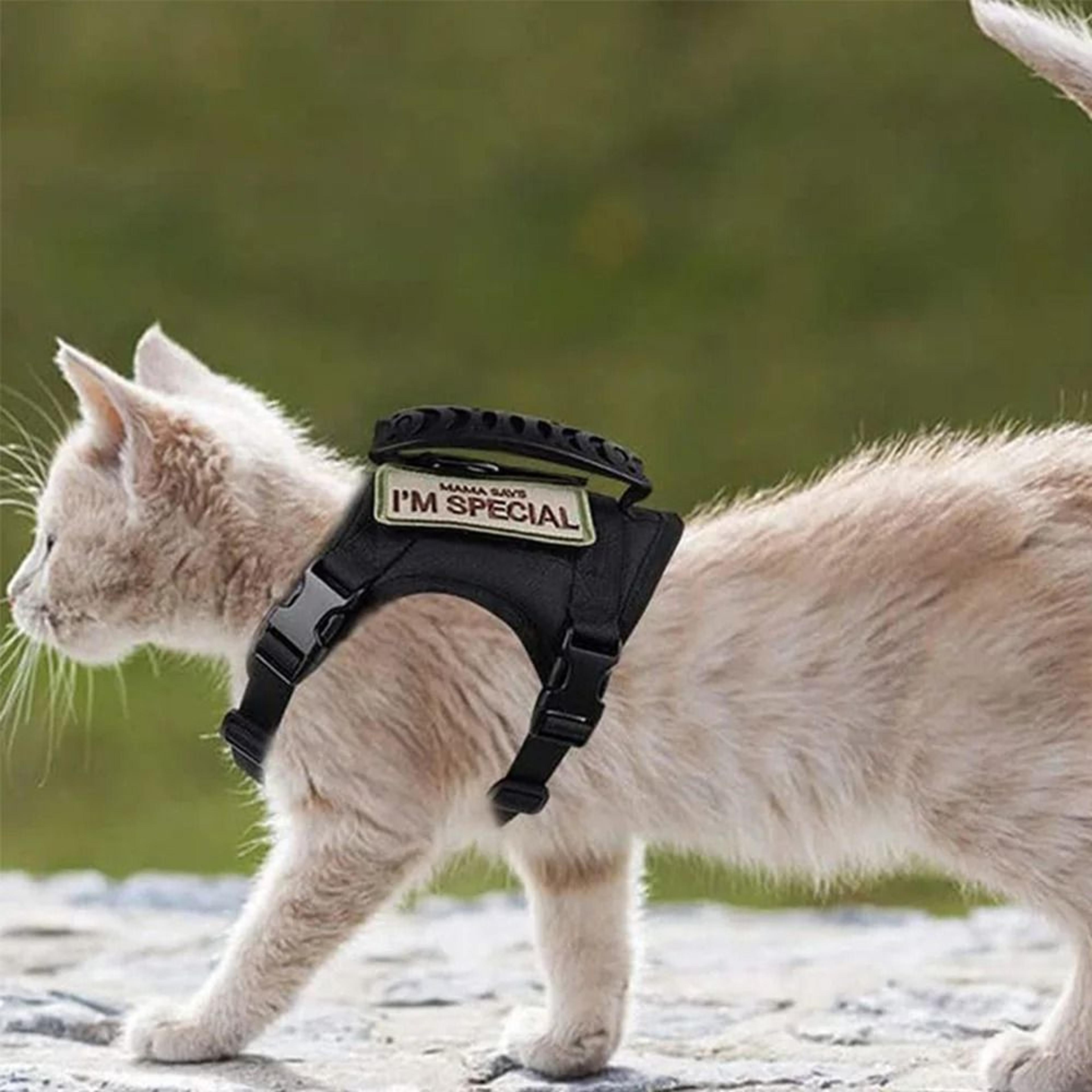 Escape Proof Tactical Cat Harness And Leash Set Breathable Military Vest For Cats And Small Dogs 25