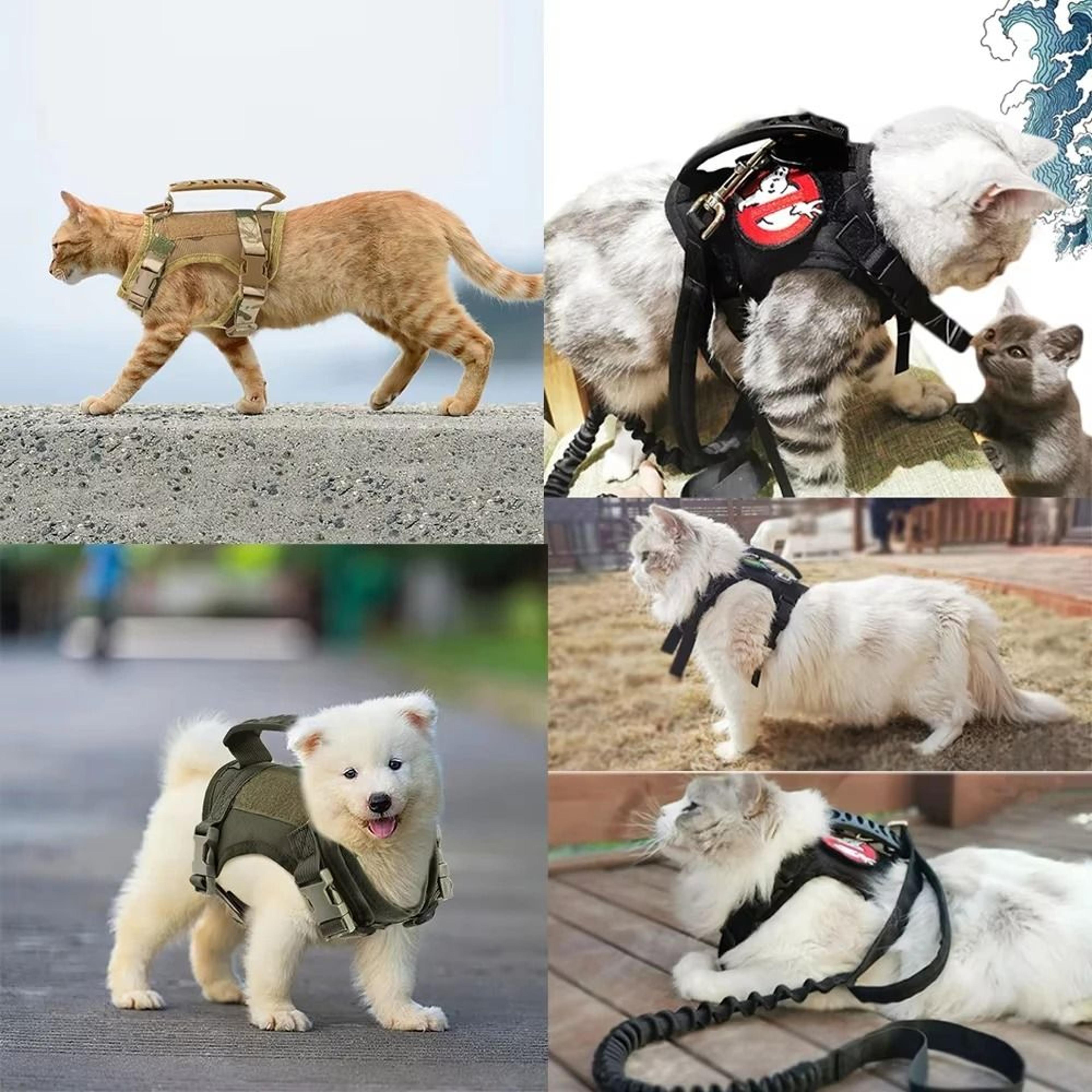 Escape Proof Tactical Cat Harness And Leash Set Breathable Military Vest For Cats And Small Dogs 21