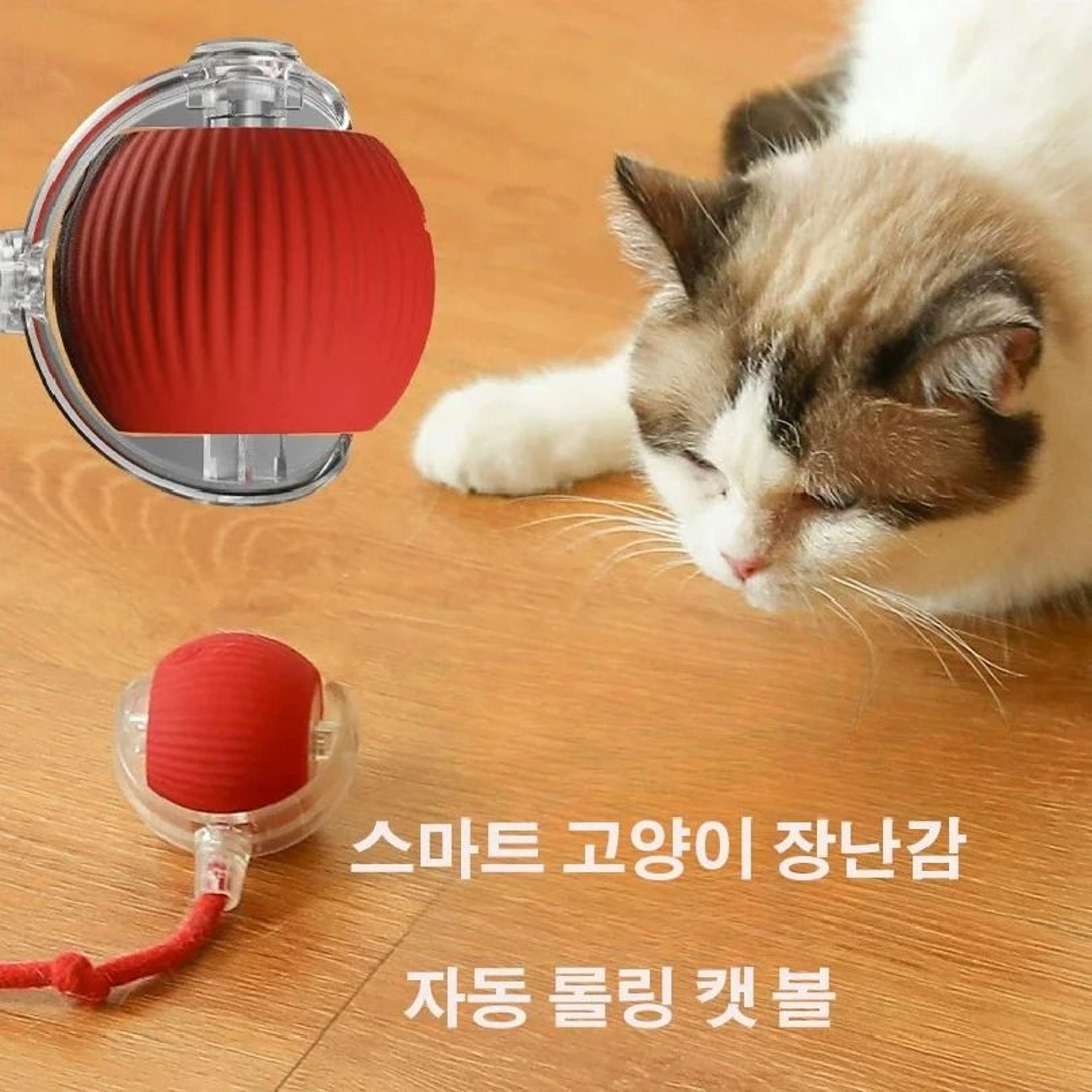 Rechargeable Automatic Rolling Cat Ball Interactive Smart Toy For Kittens And Indoor Cats 5