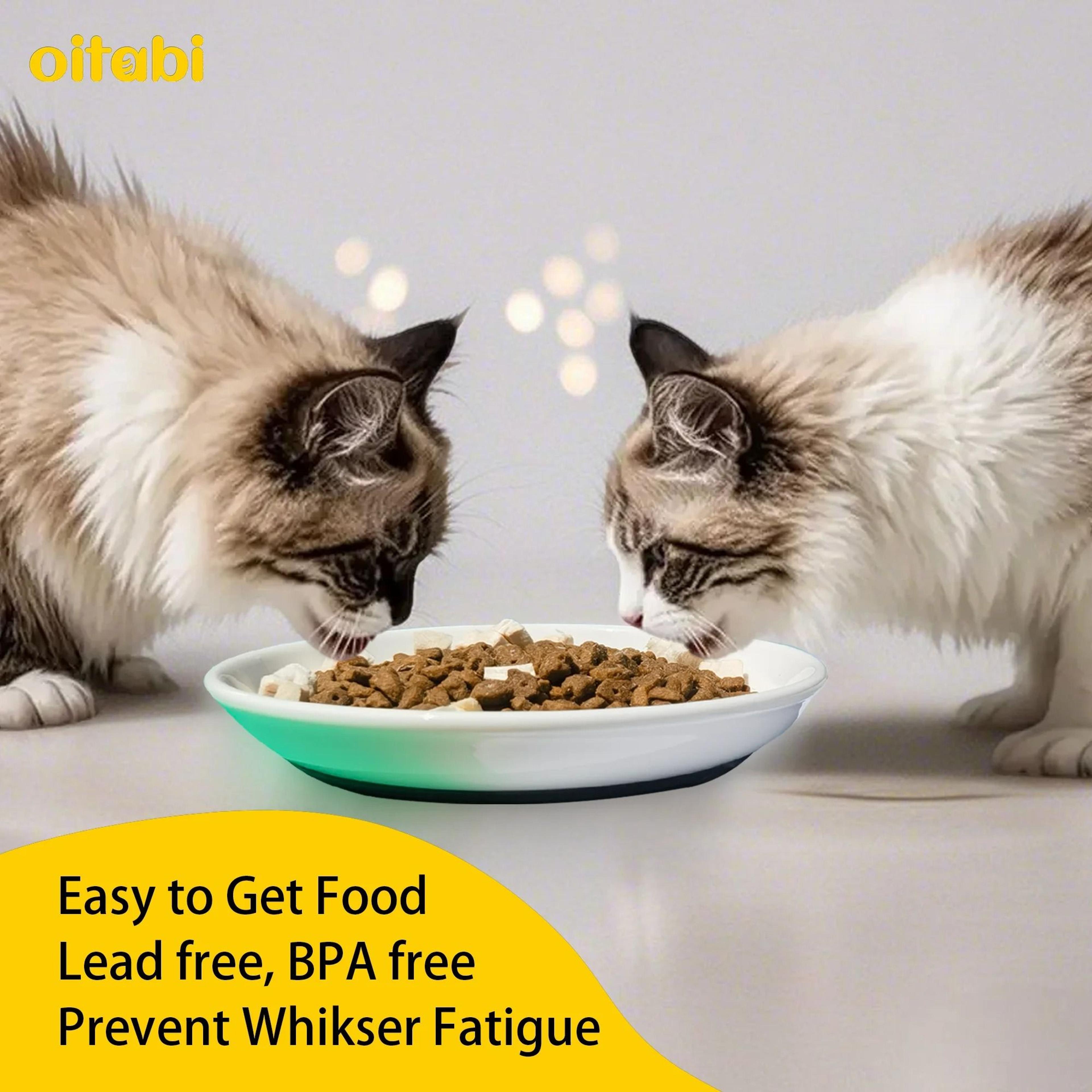 Oitabi Ceramic No Spill Cat Bowl Set Anti Whisker Fatigue Feeding Dishes 7