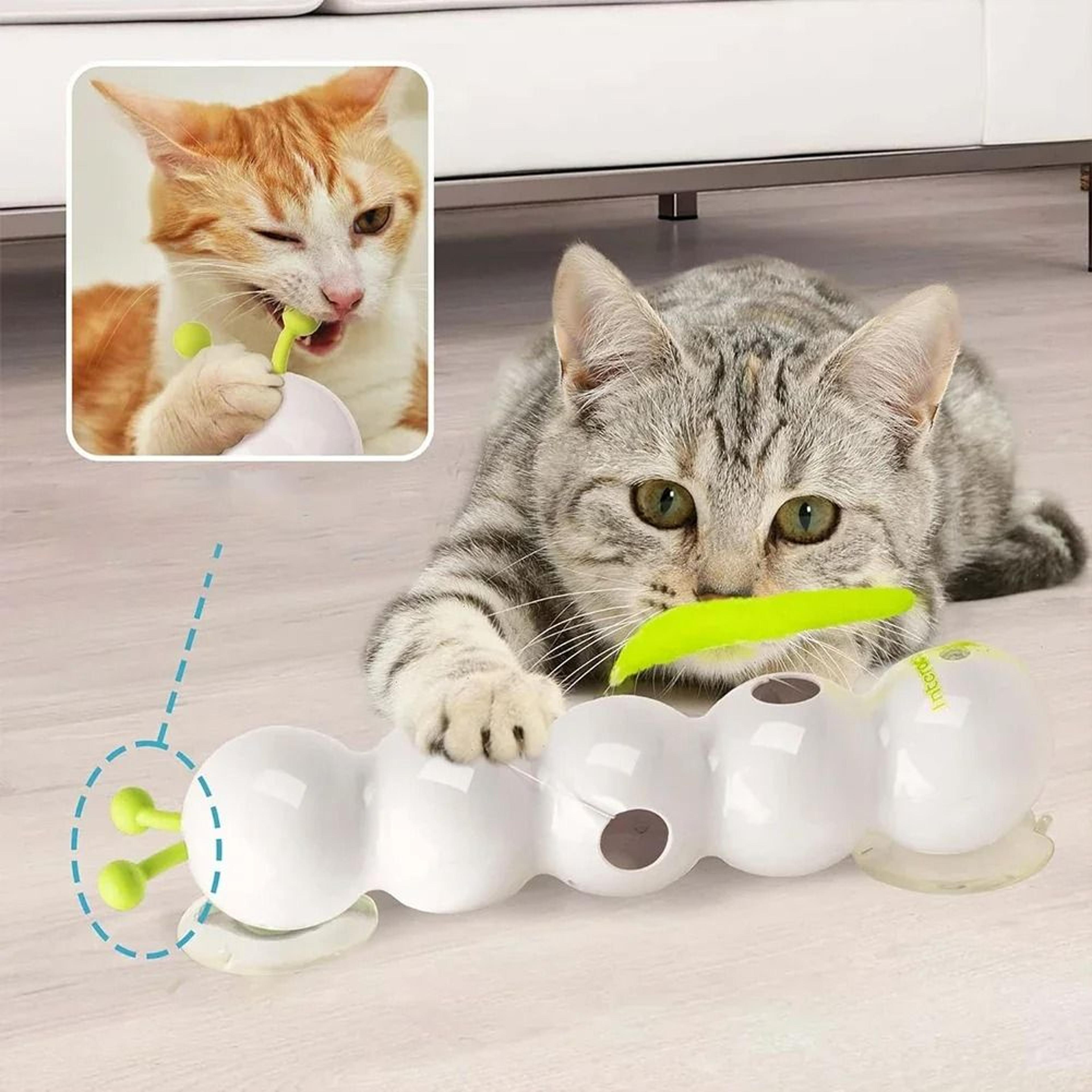 Interactive Motion Activated Cat Toy Automatic Wack A Worm Teasing Toy For Indoor Cats 3