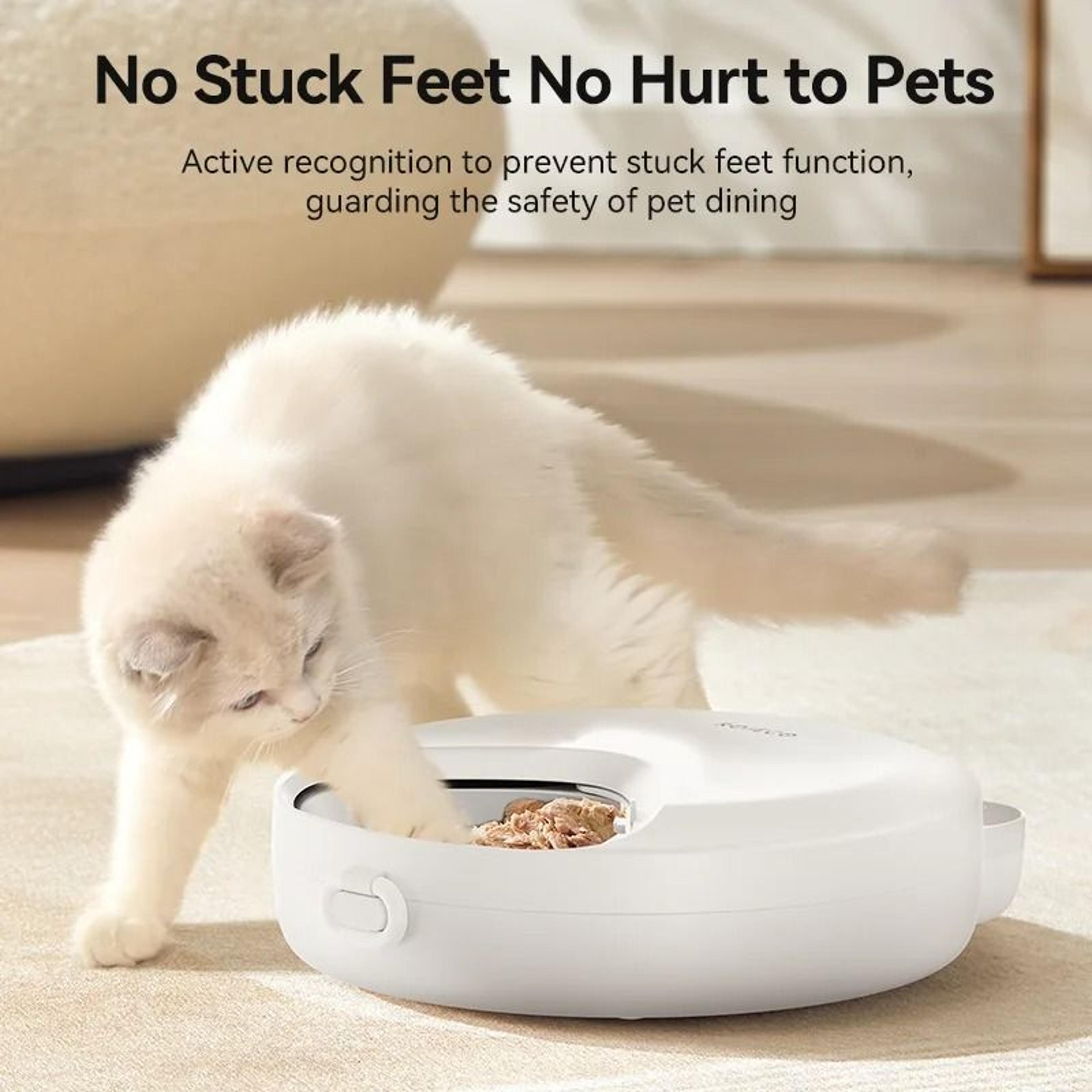 ROJECO Automatic Pet Feeder 4 Meal Smart Wireless Food Dispenser For Wet And Dry Cat Dog Food 6