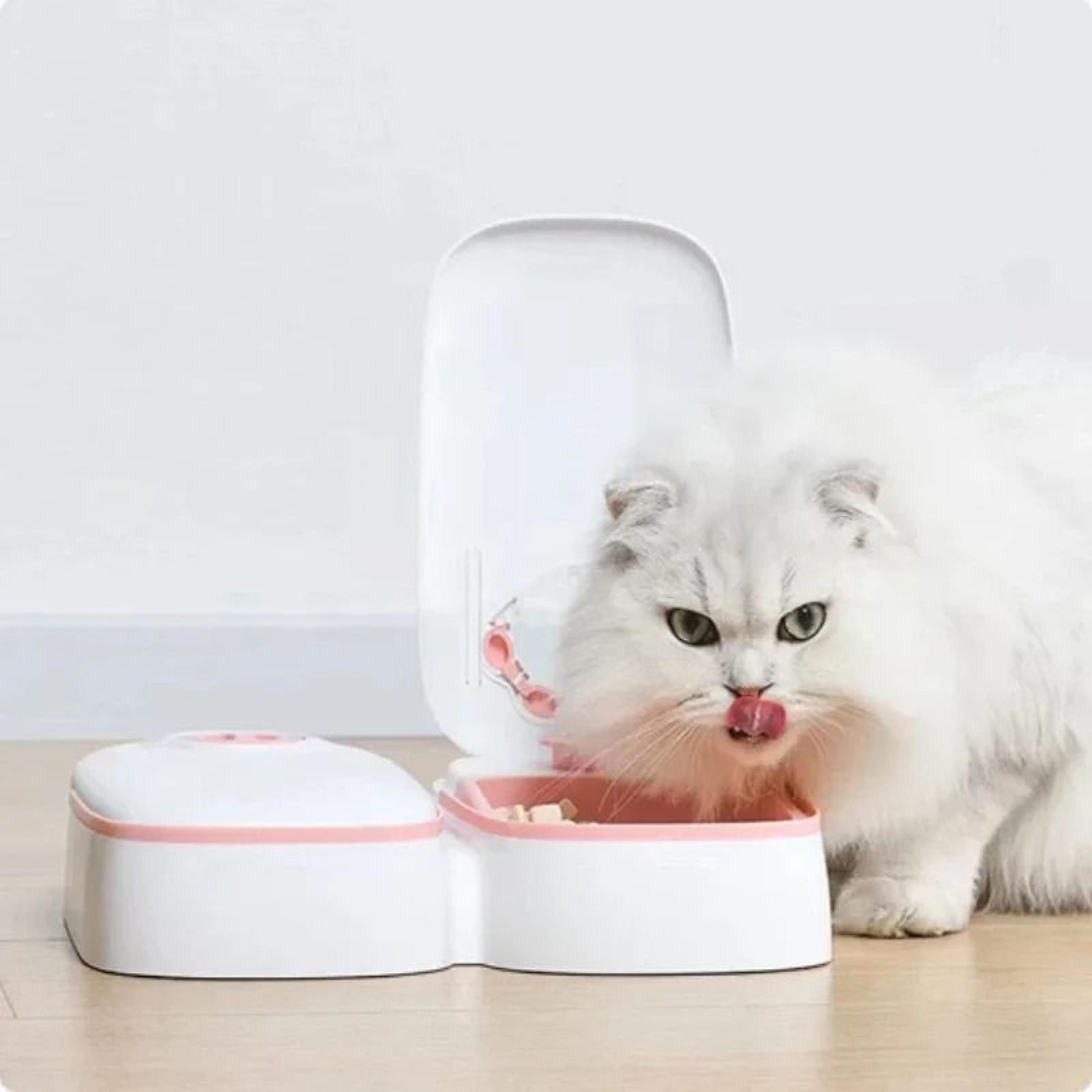 automatic pet feeder and water bowl with timer food storage dispenser