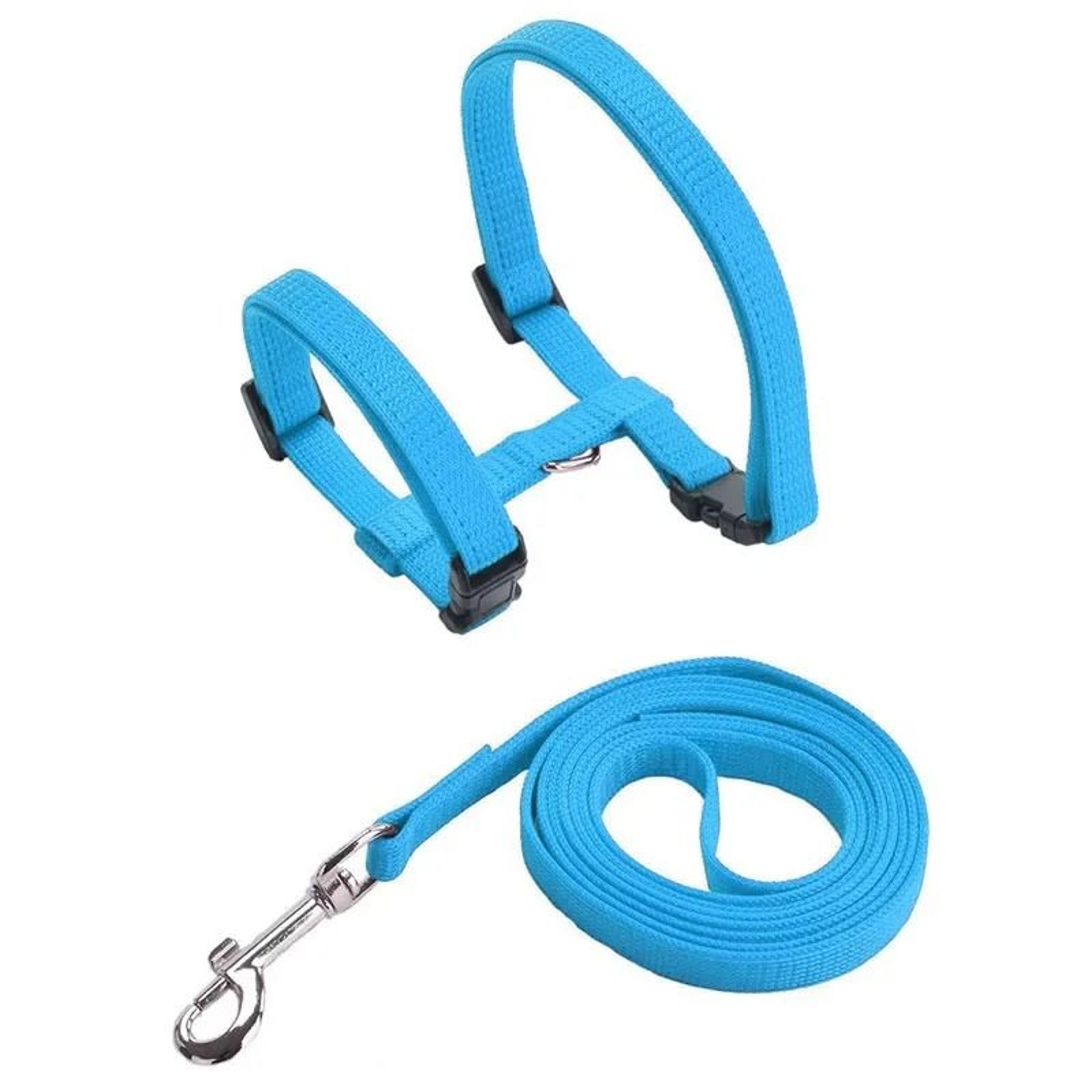 Escape Proof Small Dog And Cat Harness Leash Set Soft Adjustable No Pull Pet Harness 4