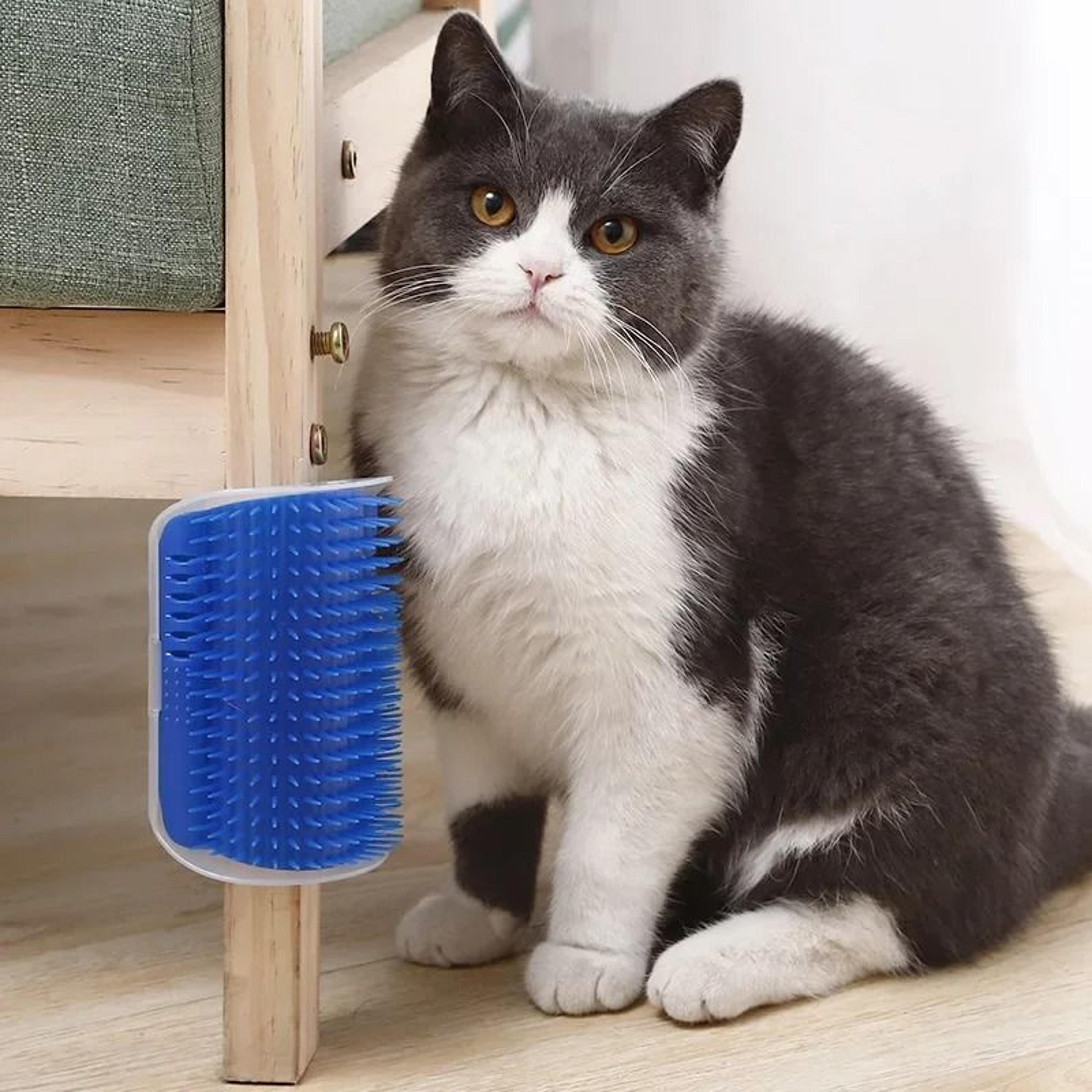 Cat Corner Scratcher With Catnip Self Grooming Wall Mounted Interactive Toy 11