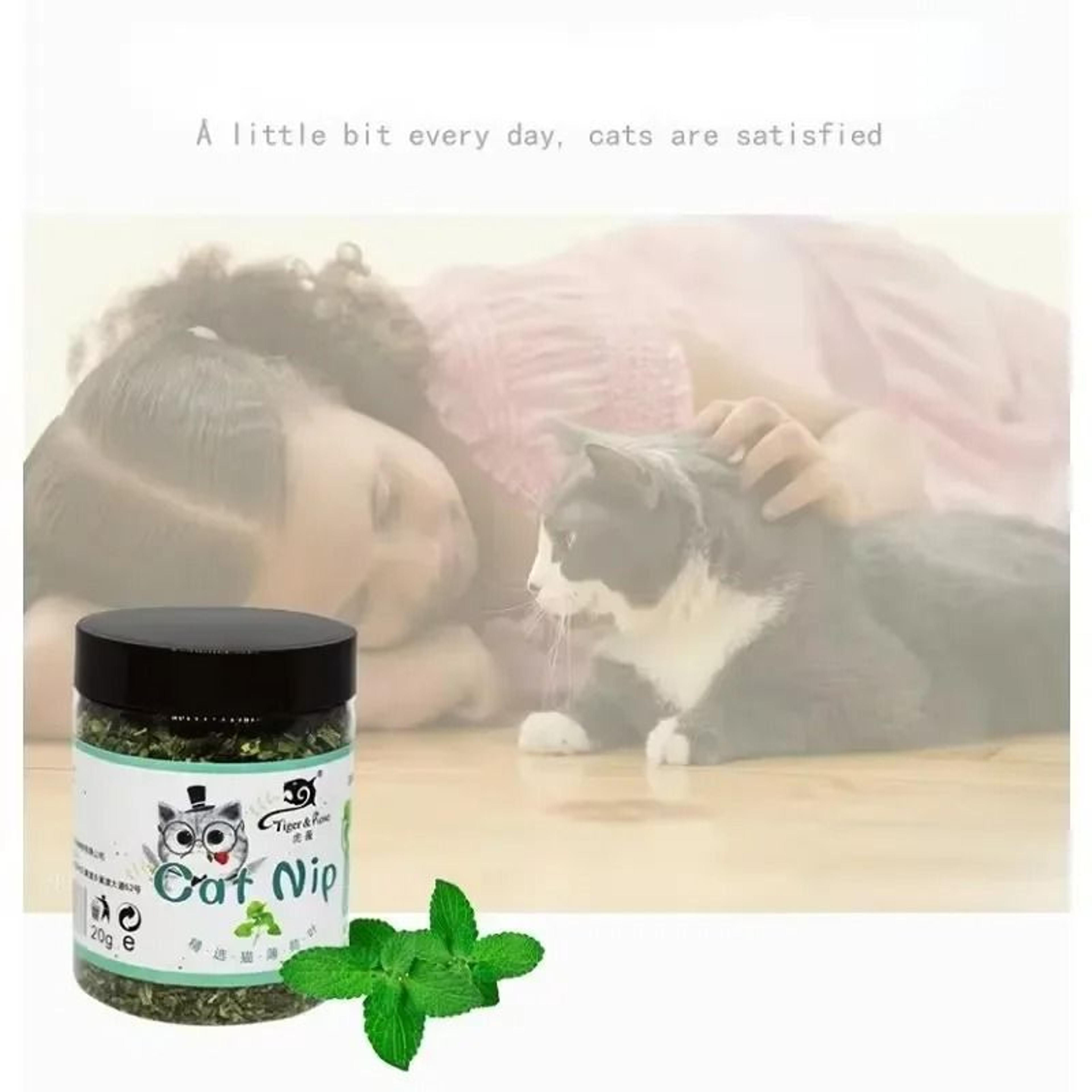 Organic Natural Catnip Mint Toy Interactive Cat Chew And Play Treat For Cats 6