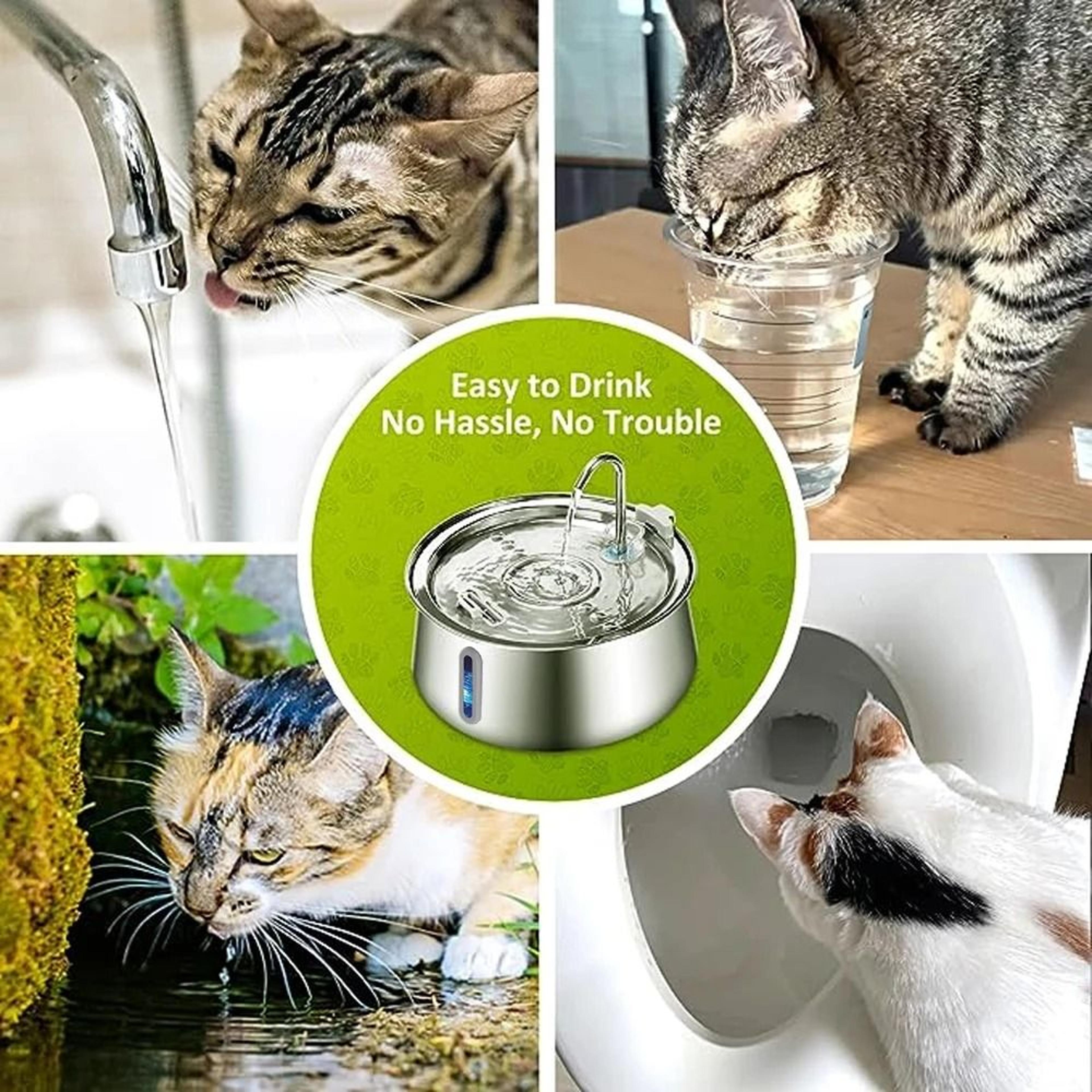 4L Stainless Steel Automatic Pet Water Fountain With Filter 5