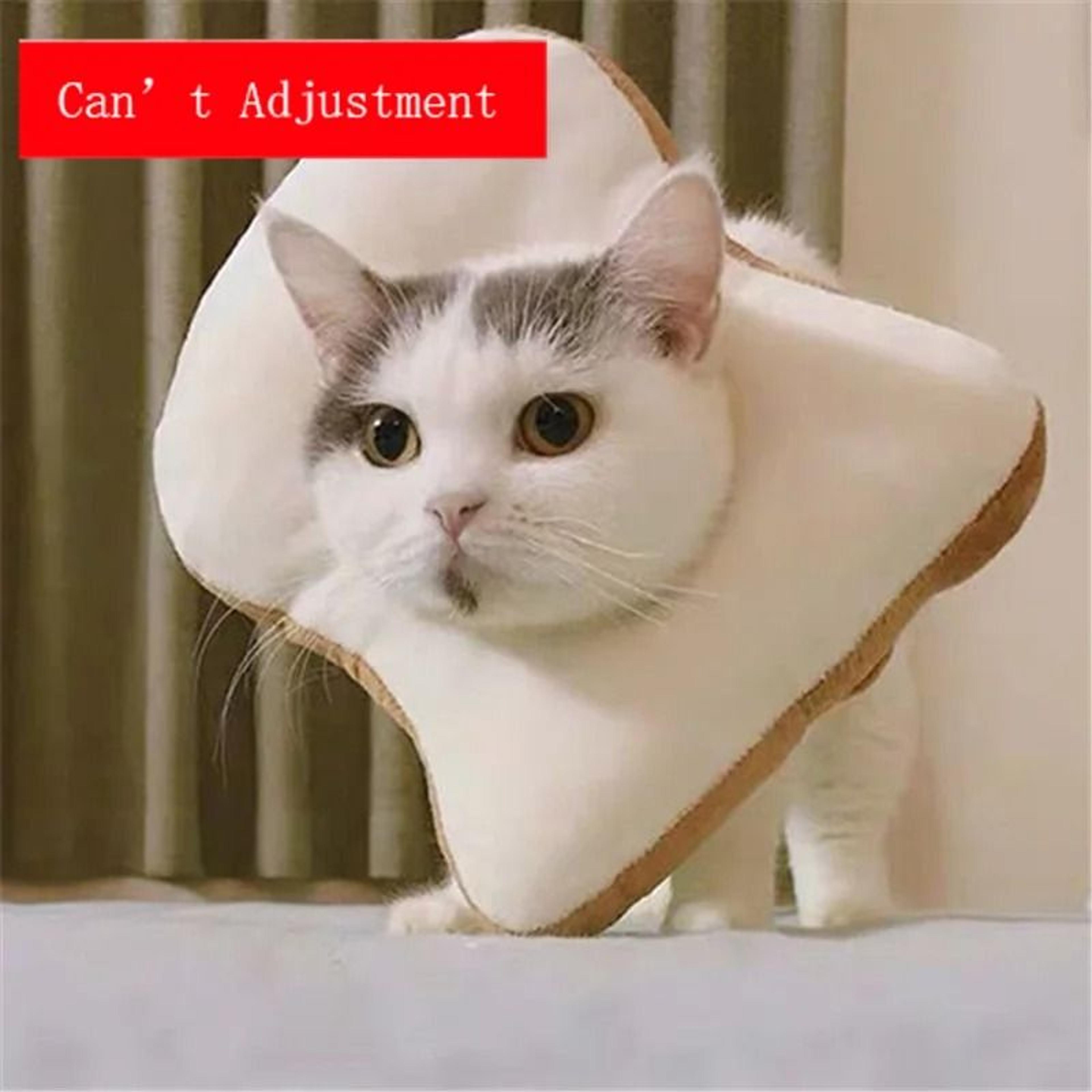 Soft Avocado Pet Recovery Collar For Dogs And Cats 8