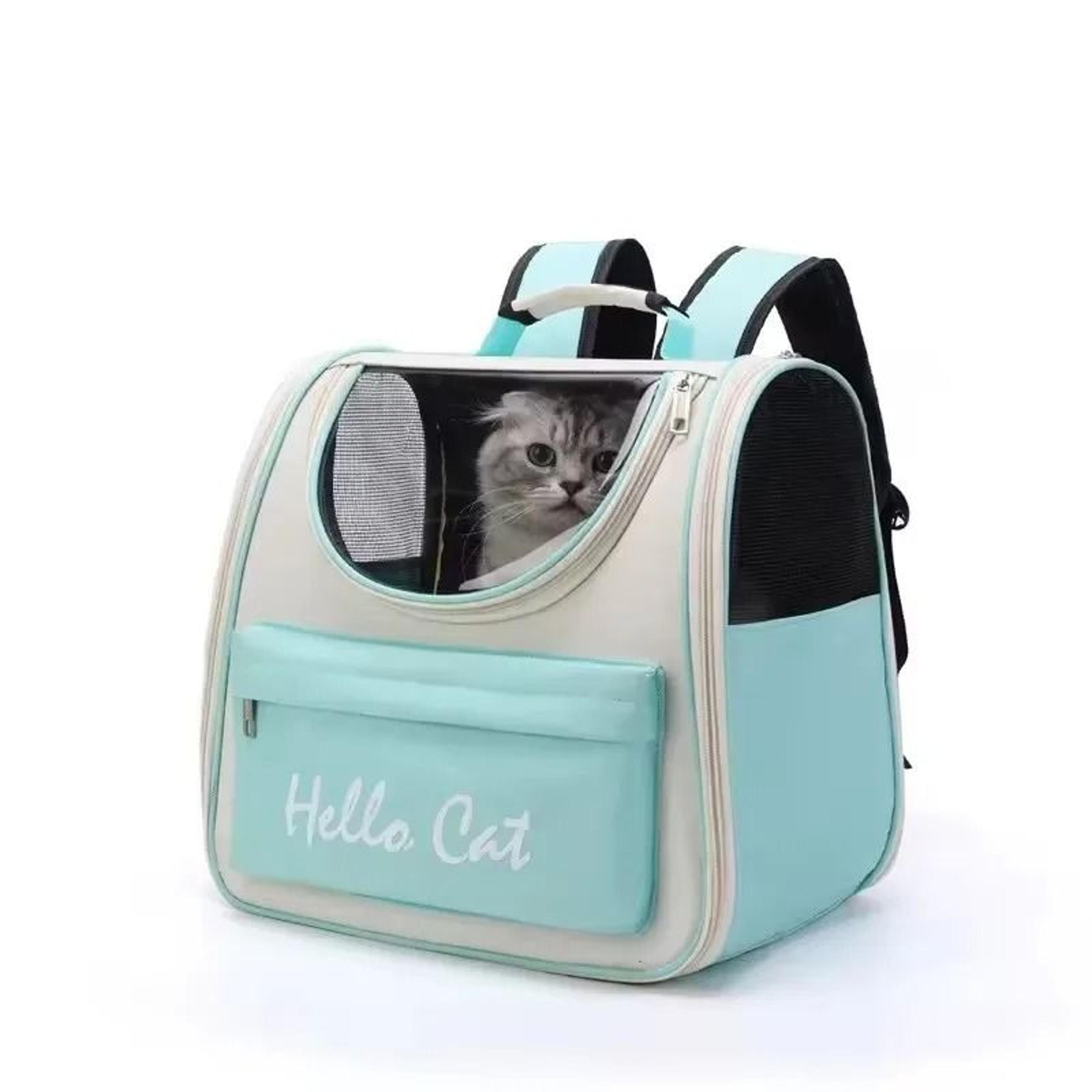 Windproof Pet Carrier Backpack For Cats And Small Dogs With Cushion 2