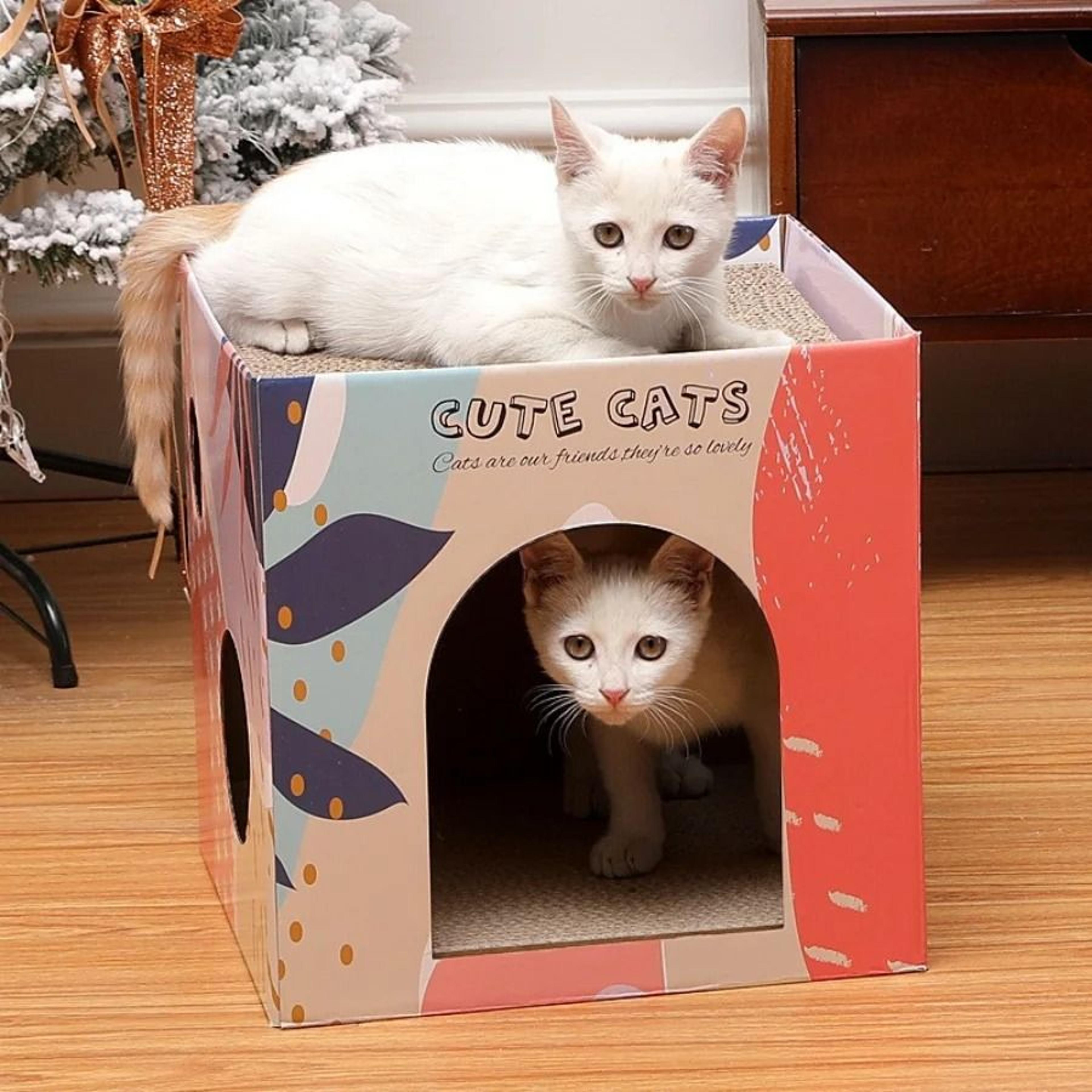 Double Layer Cat Scratching Pad Indoor Cat House With Corrugated Scratch Board And Cozy Cat Condo 8